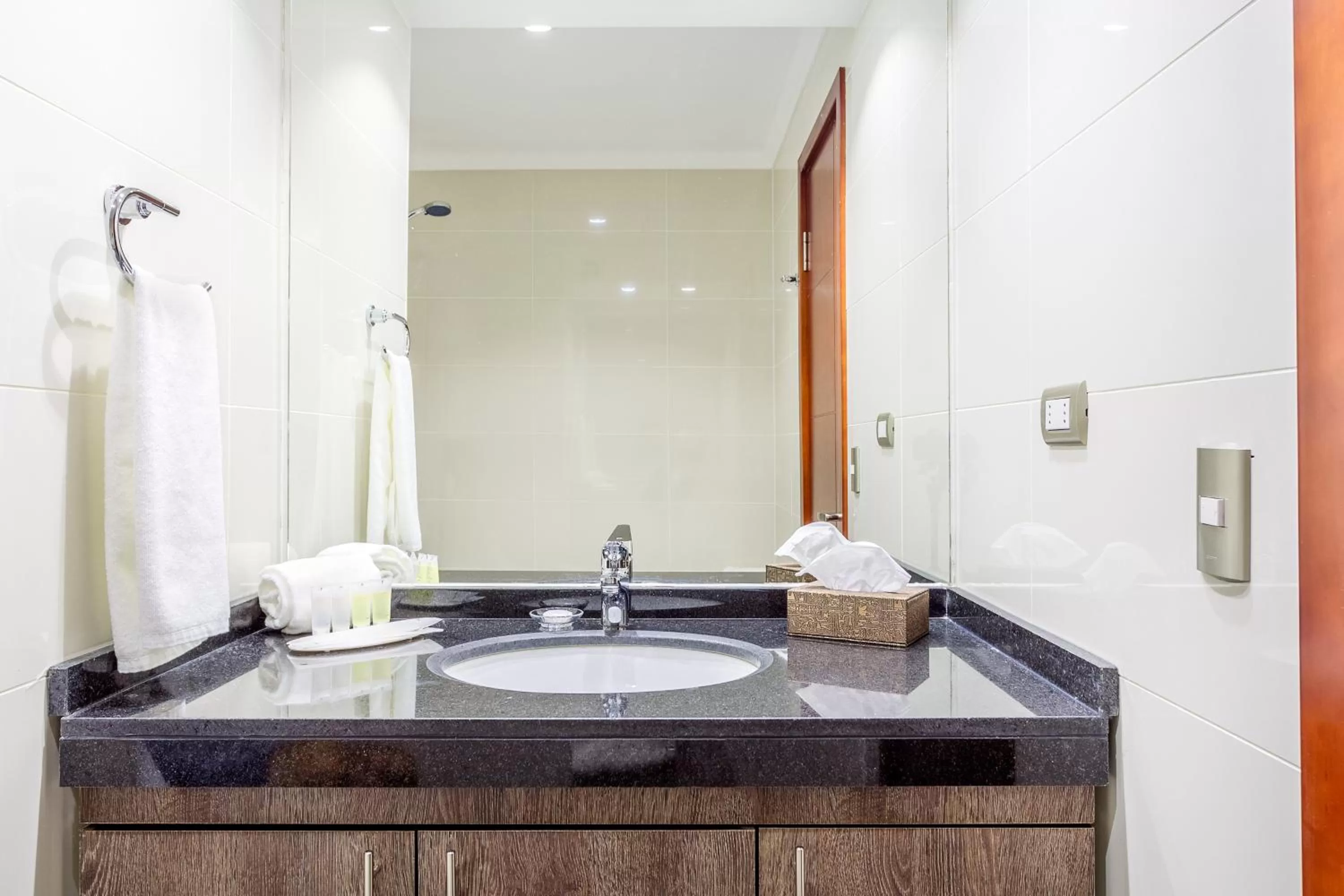 Shower in Nobile Hotel Estación Central