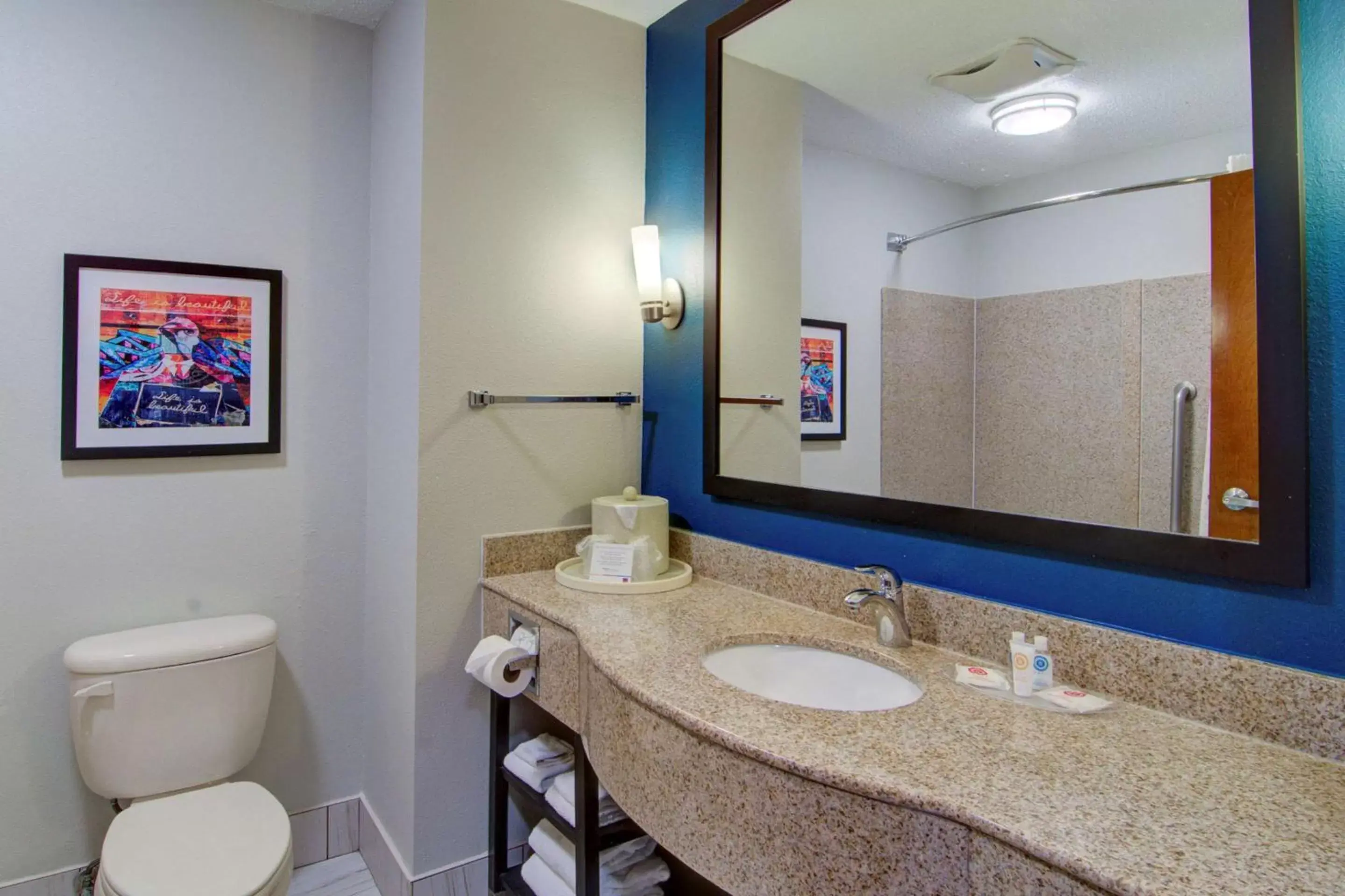 Photo of the whole room, Bathroom in Comfort Suites Newport News Airport