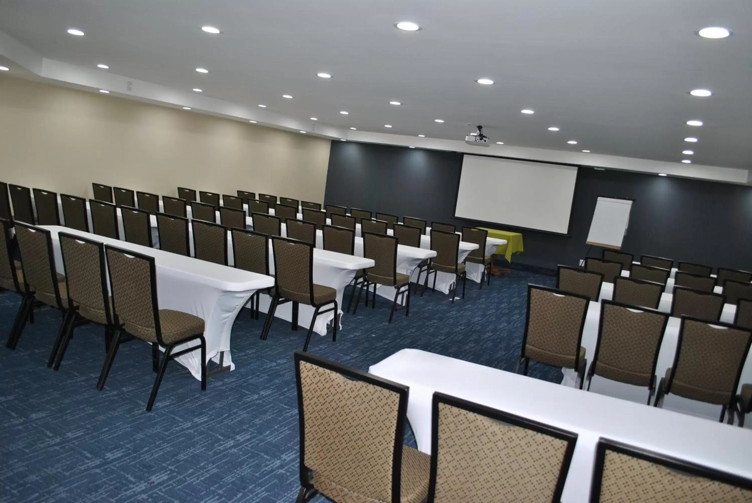 Meeting/conference room in Holiday Inn Express Toluca, an IHG Hotel