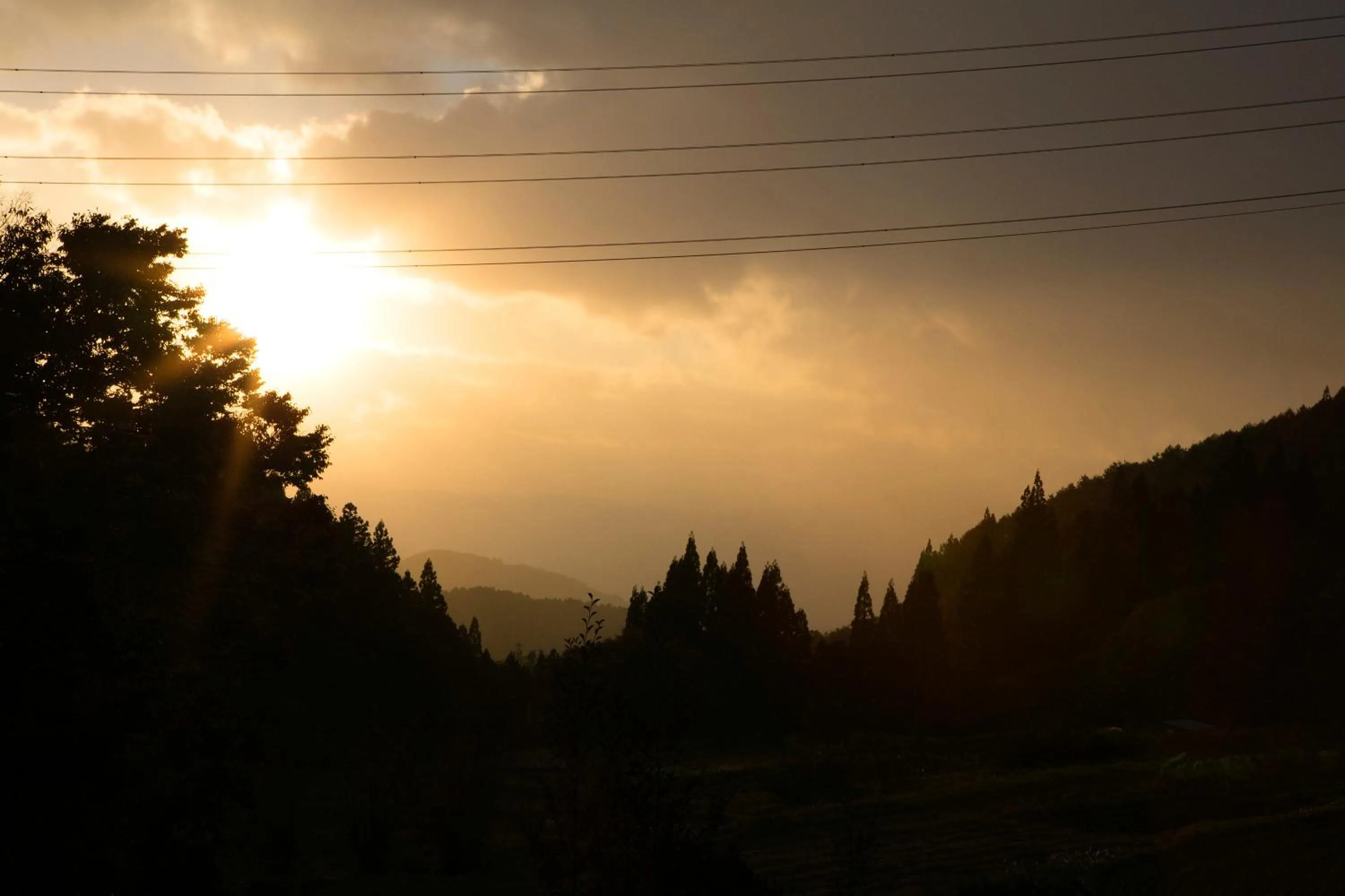 Natural landscape in Ryokan Warabino