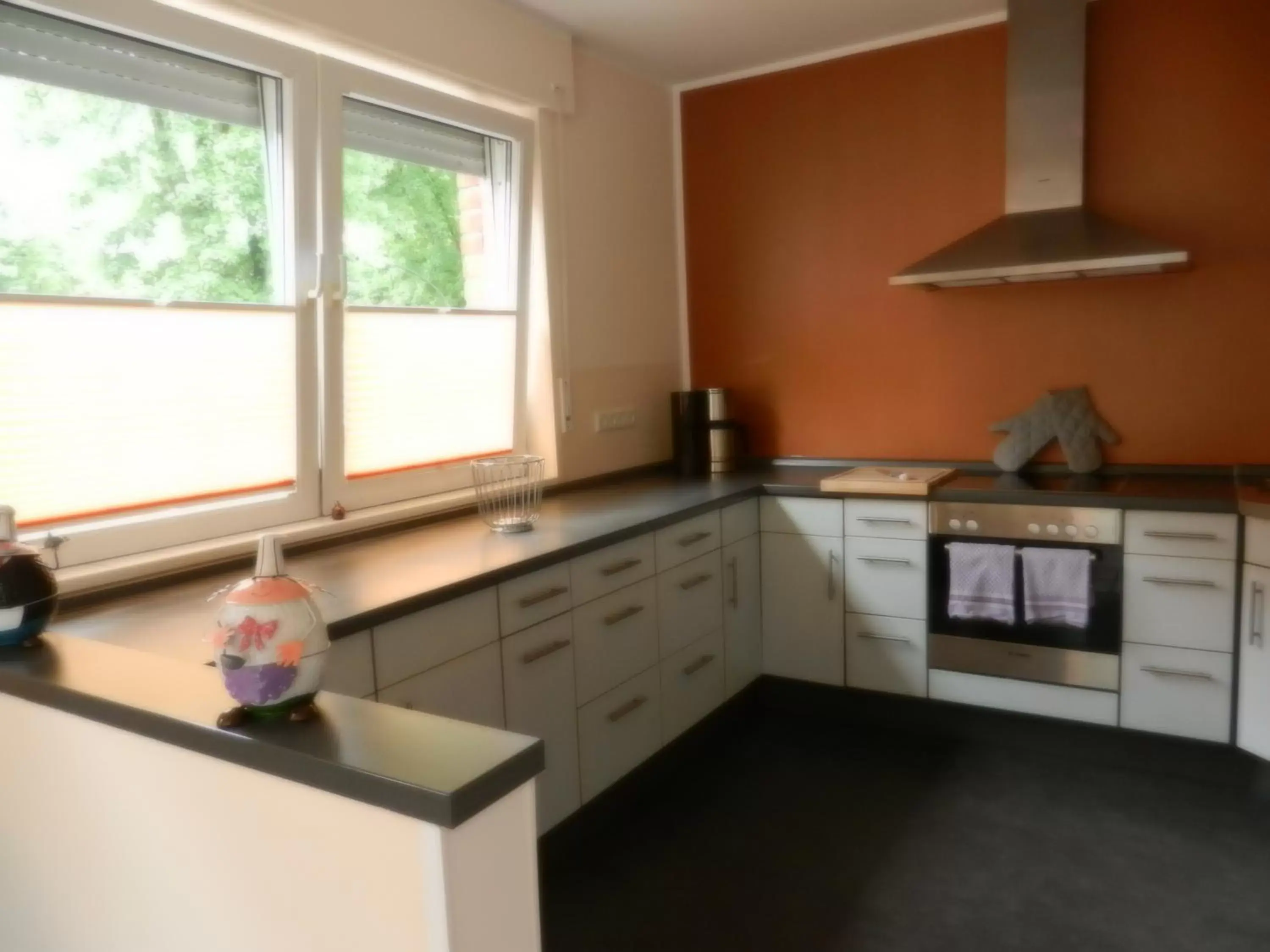 Kitchen or kitchenette, Kitchen/Kitchenette in Hotel Am Sportpark