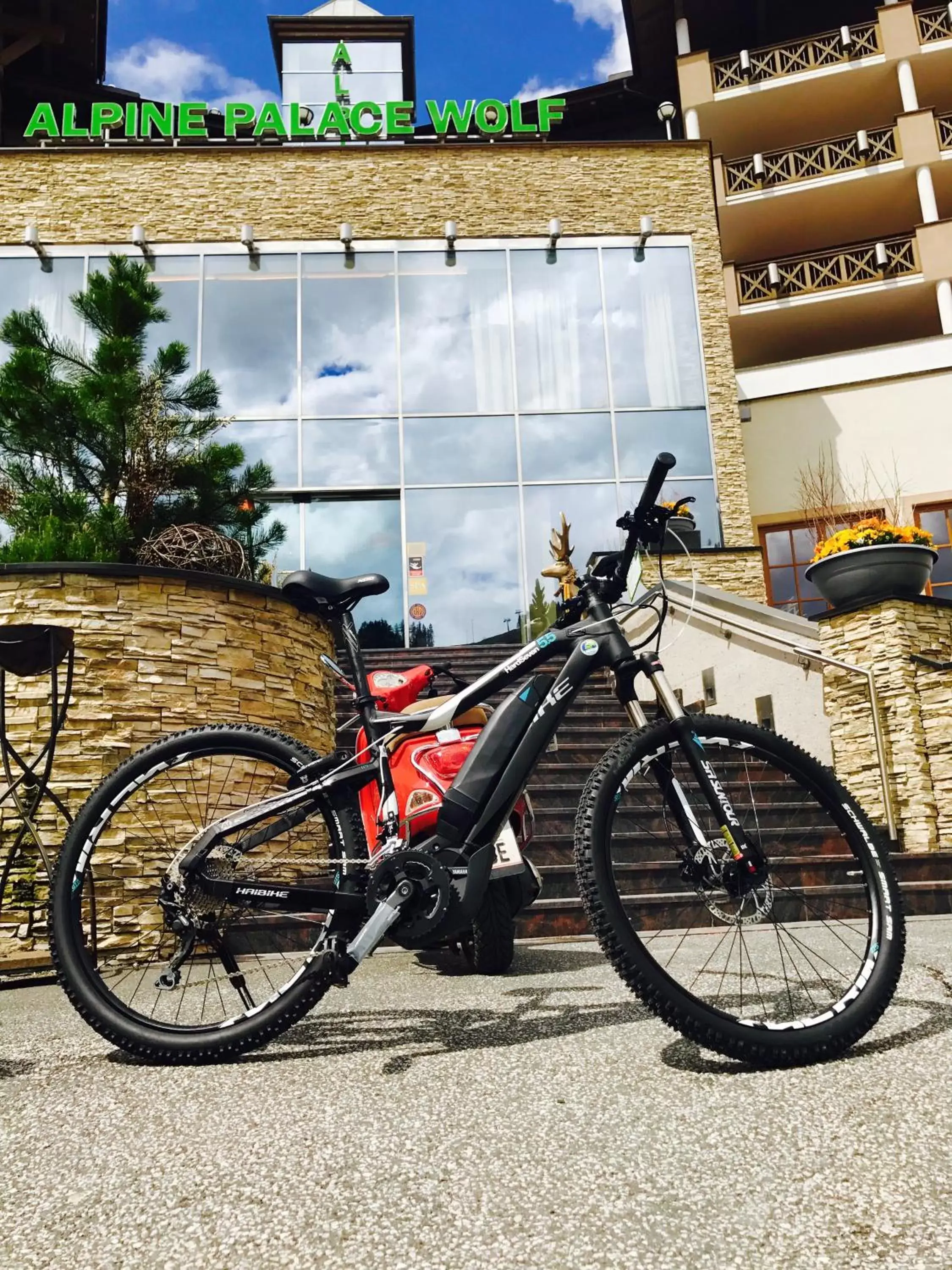 Cycling, Biking in Hotel Alpine Palace