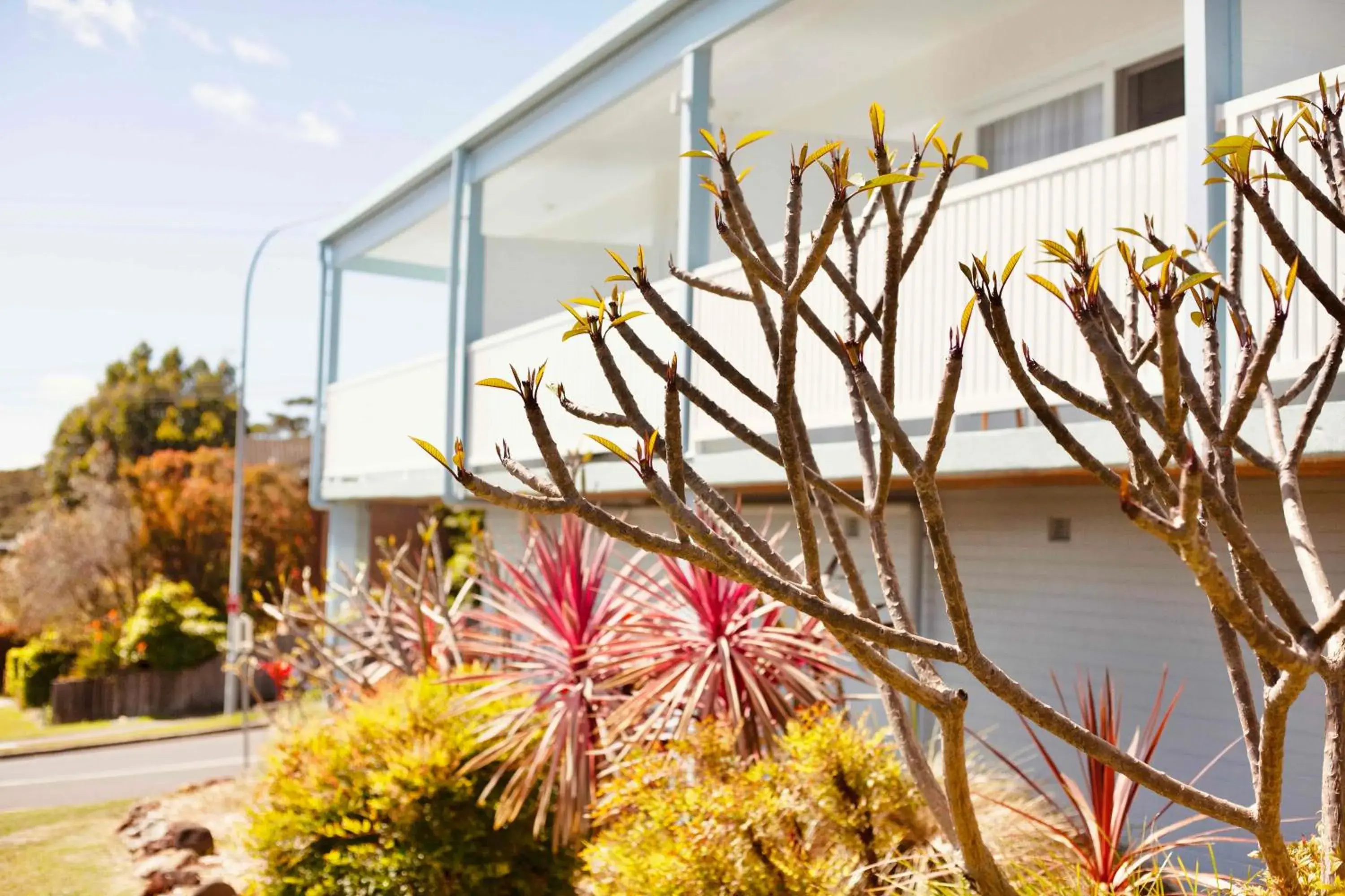 Property building in Mollymook Motel