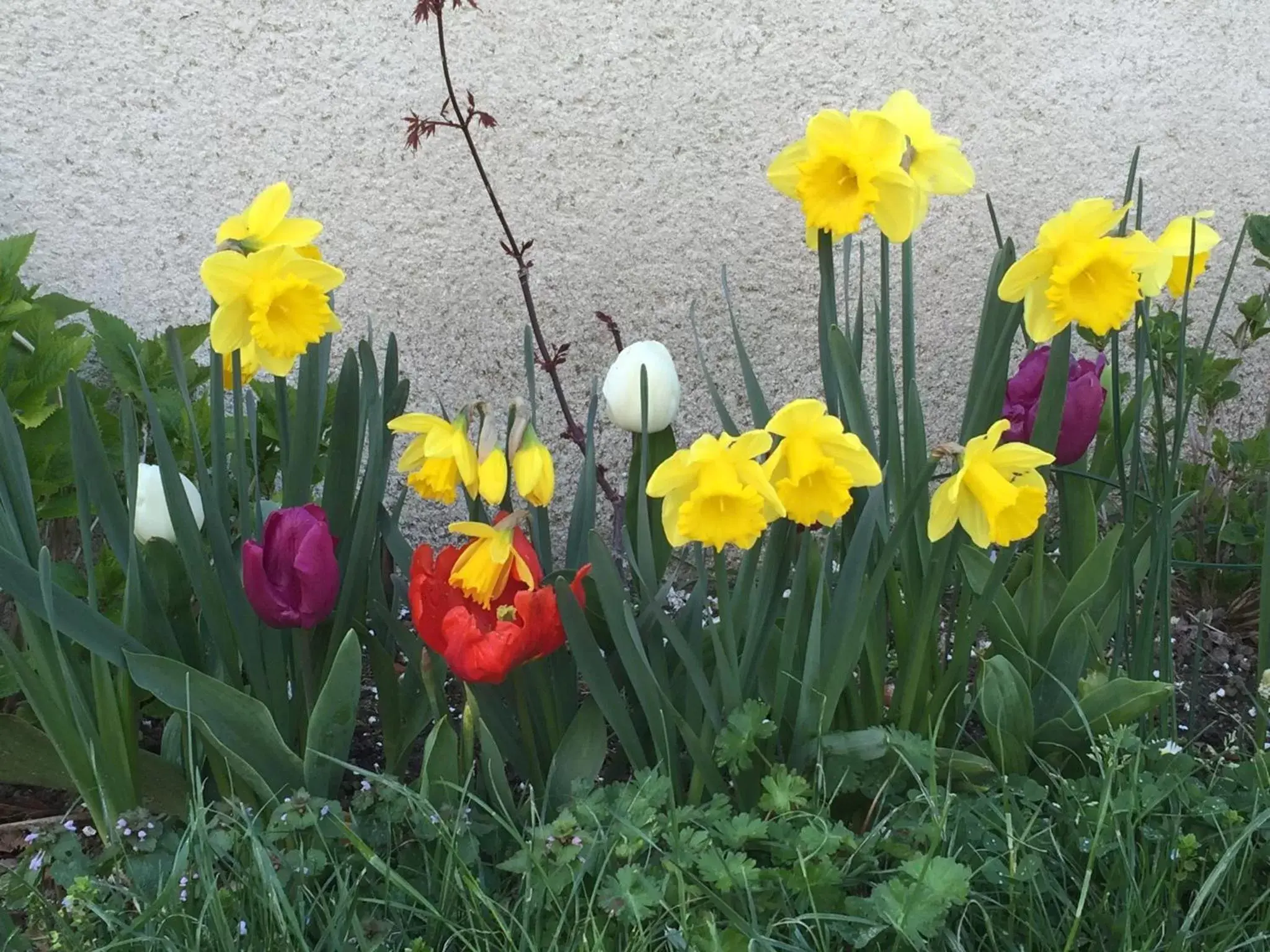 Spring in Les Colonnes De Chanteloup