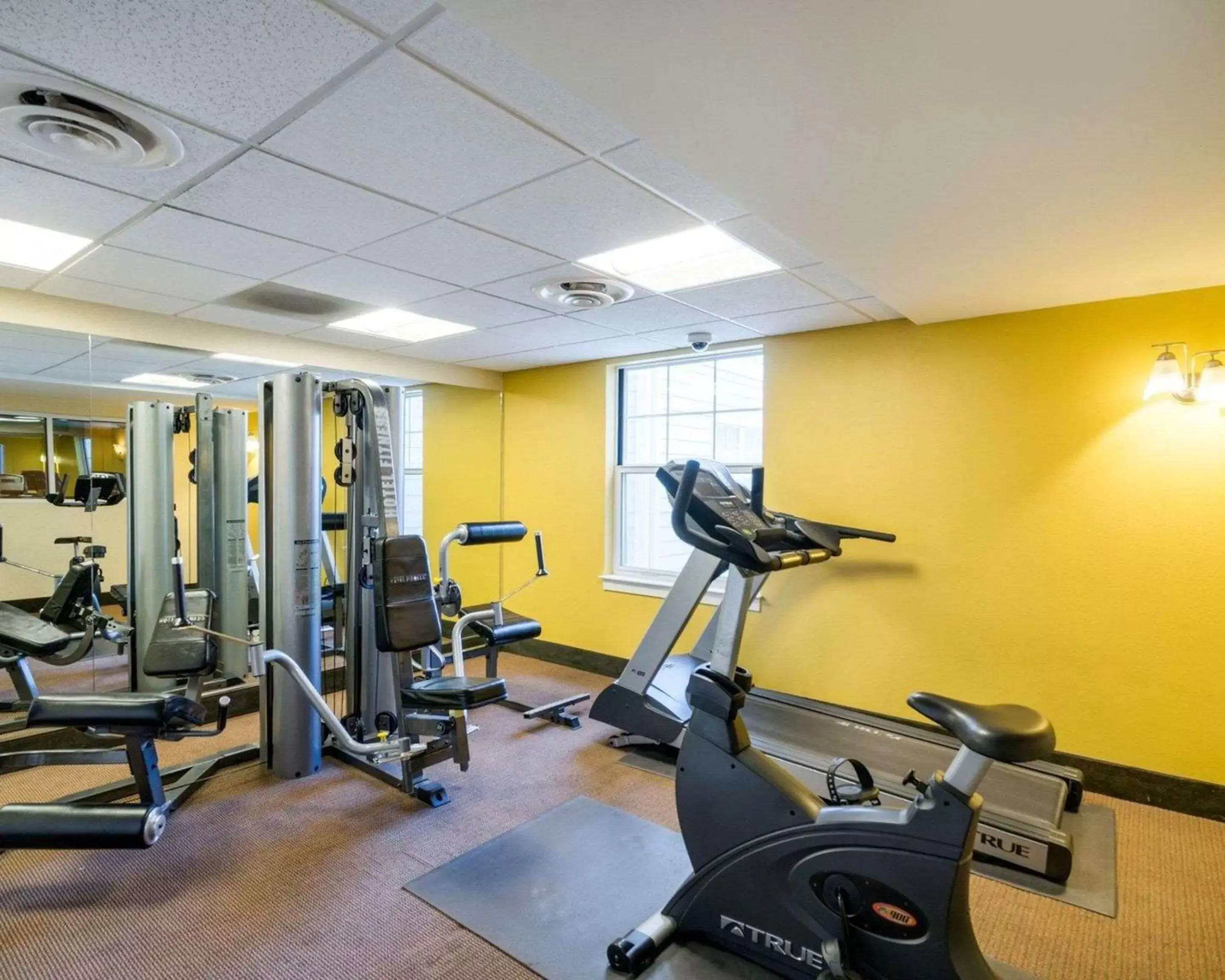Fitness centre/facilities, Fitness Center/Facilities in Mainstay Suites Dover