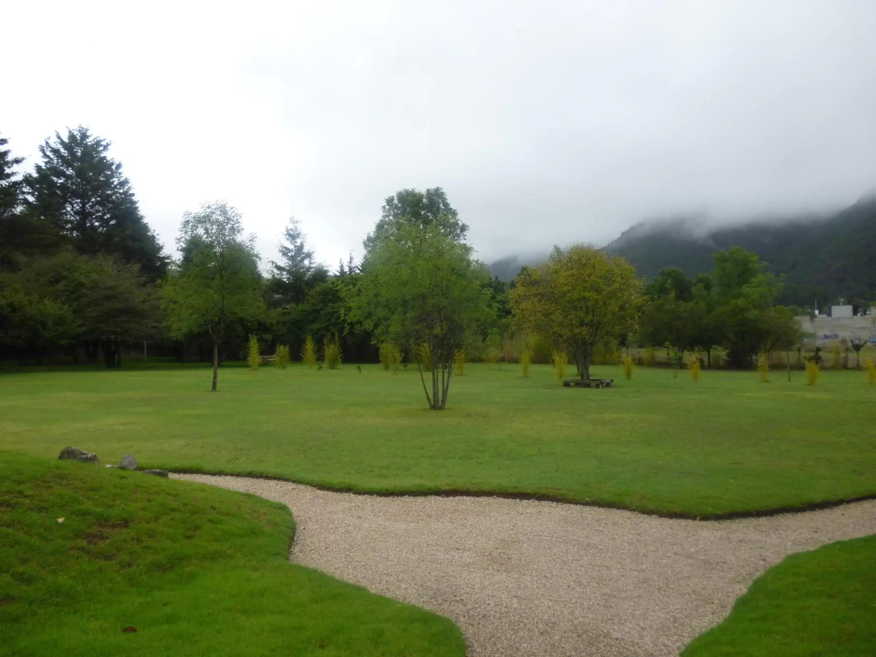 Garden in Hotel Bosques del Sol Suites