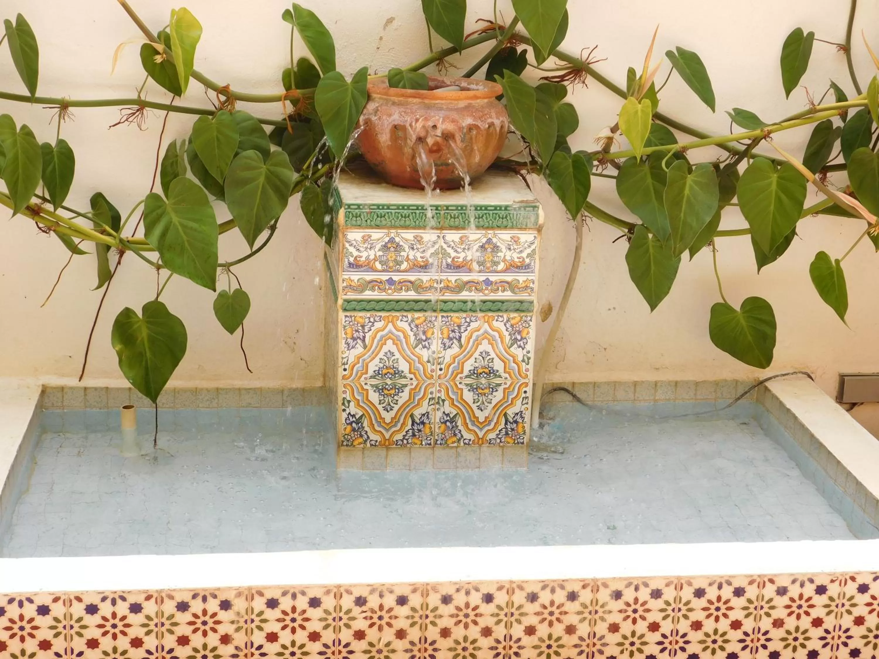 Patio in Residencial La Fonte