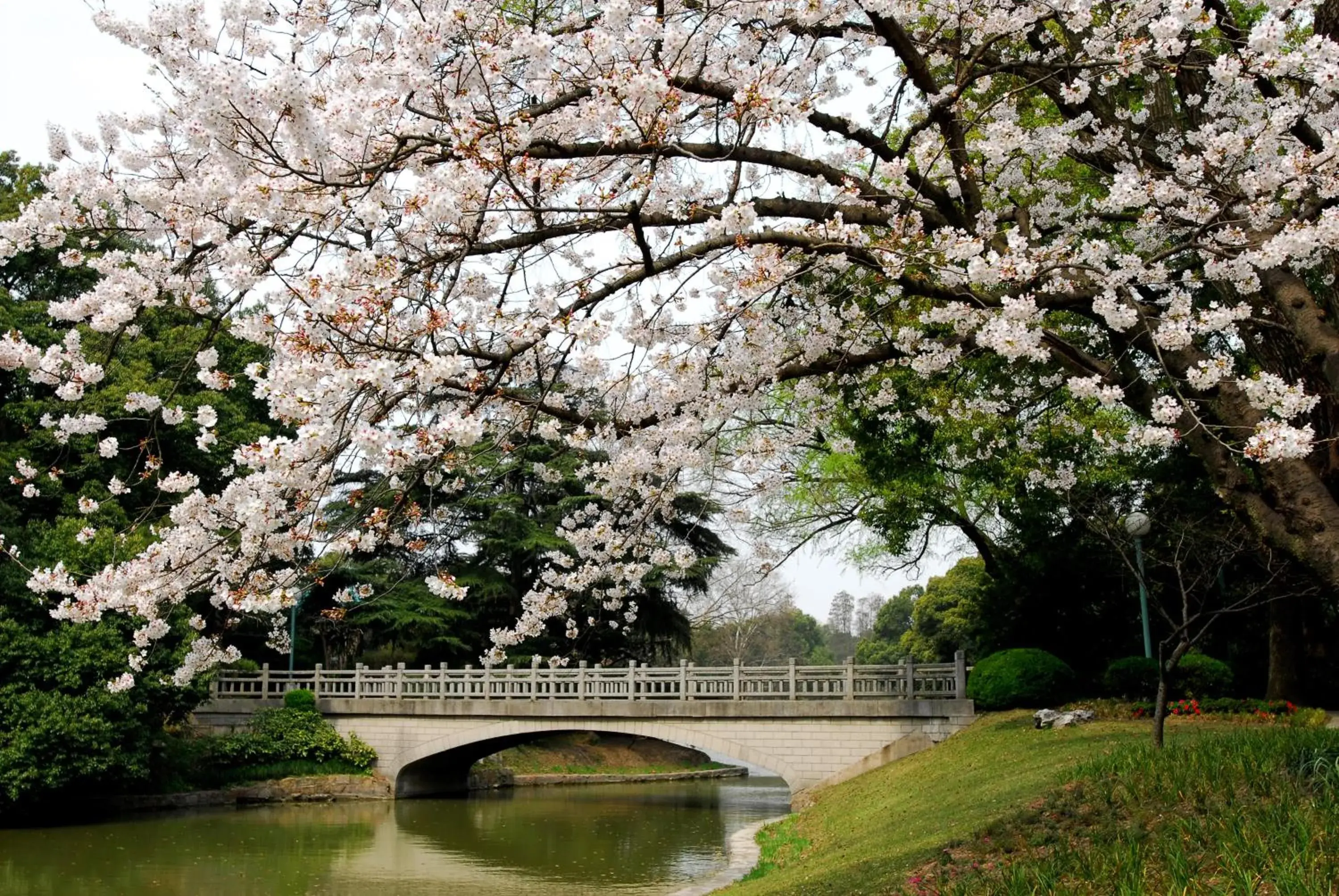 Garden in Xijiao State Guest Hotel