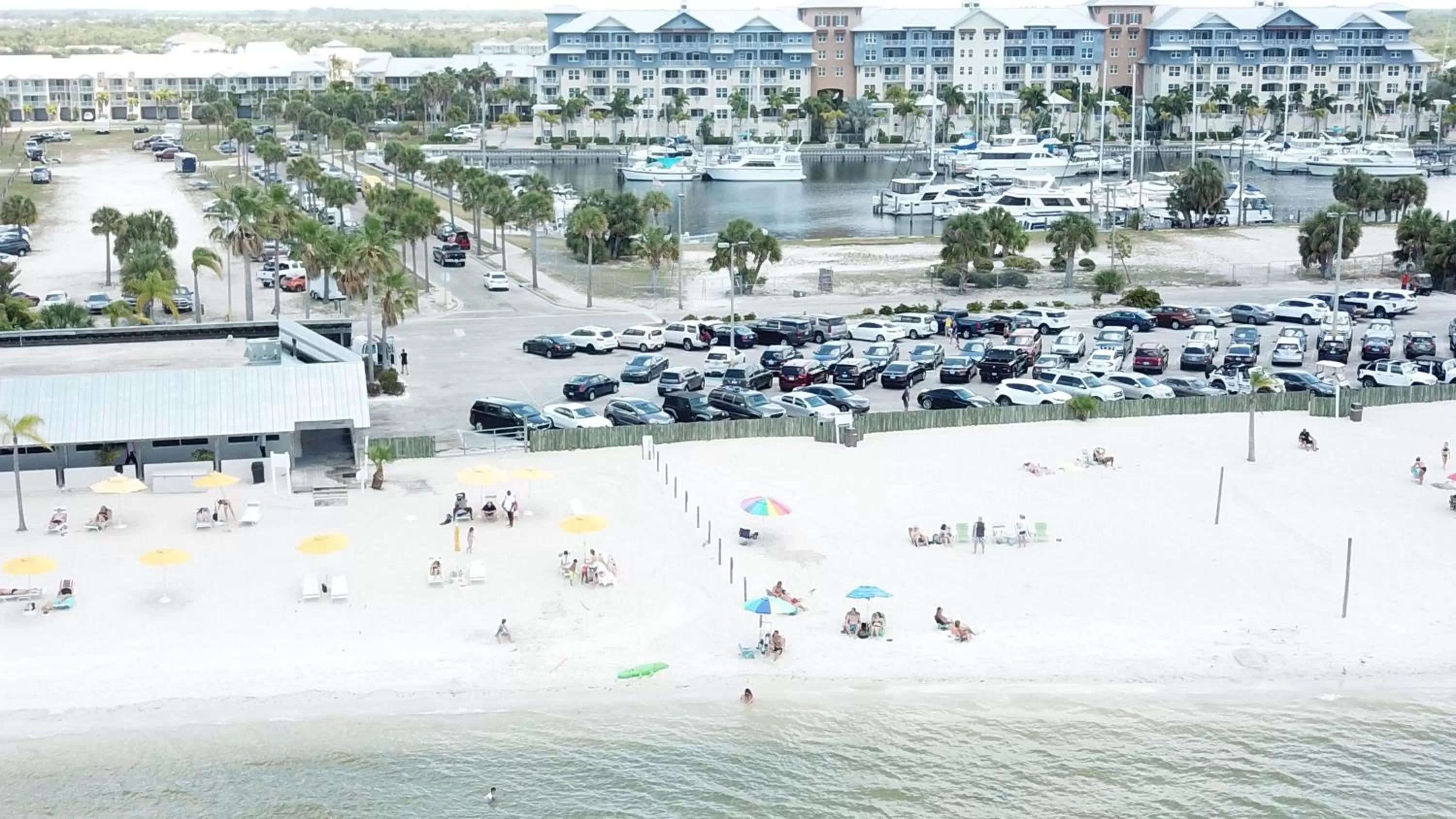 Restaurant/places to eat in TAMPA BAY, BEACH step away, WIFI, FREE PARKING,POOLS, JACUZZI