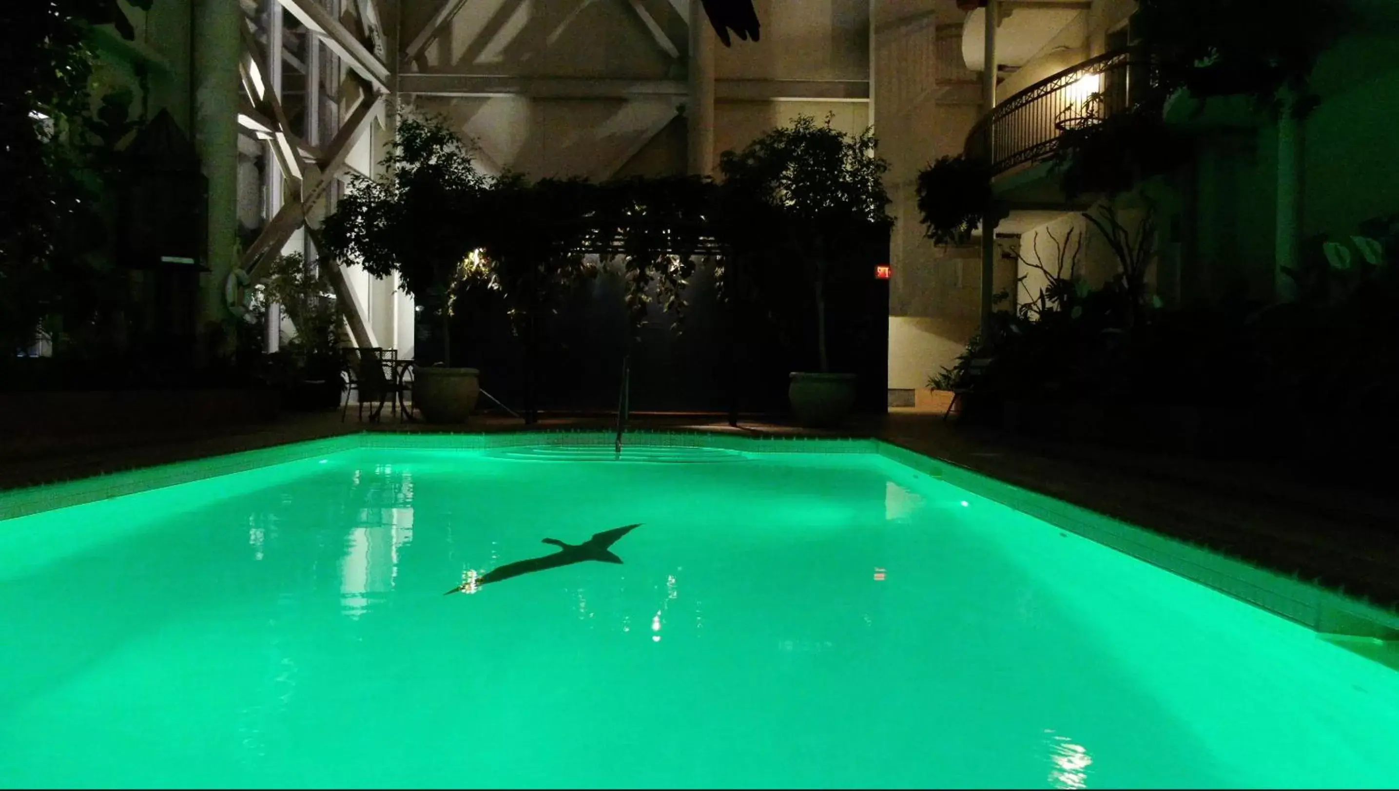 Night, Swimming Pool in Hotel L'Oie des neiges