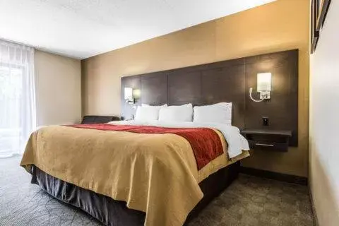 King Room - Non-Smoking in Comfort Inn Owen Sound