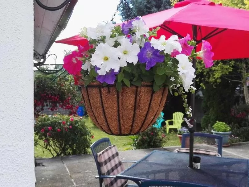 View (from property/room) in The Vee Guest Accommodation