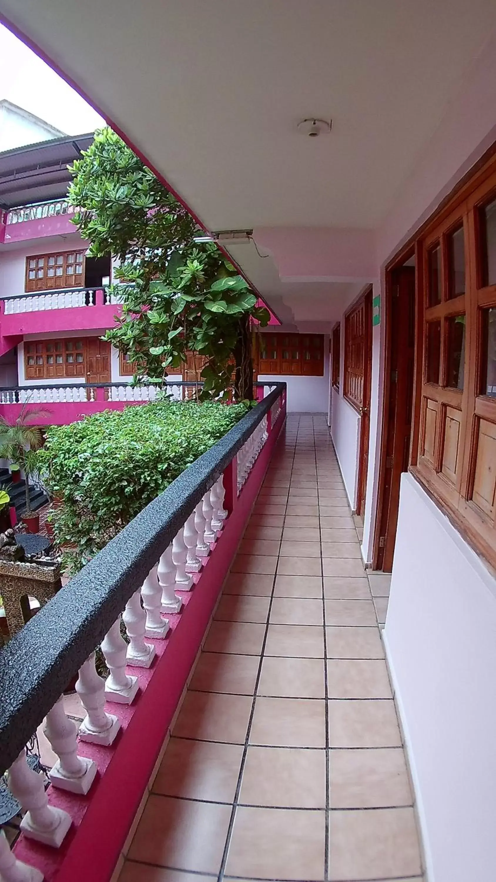 Balcony/Terrace in Hotel Michelle