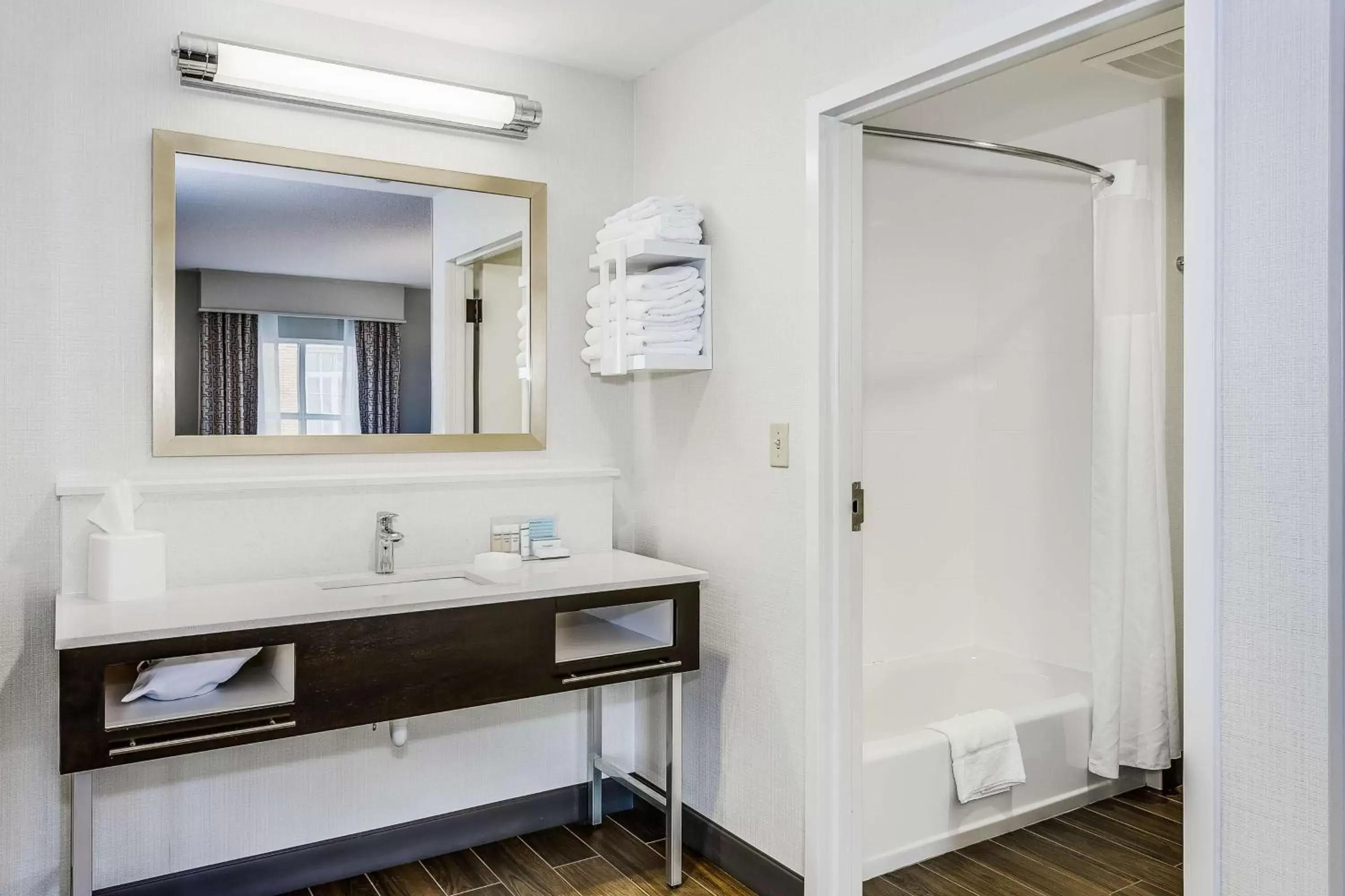Bathroom in Hampton Inn & Suites Mobile - Downtown Historic District