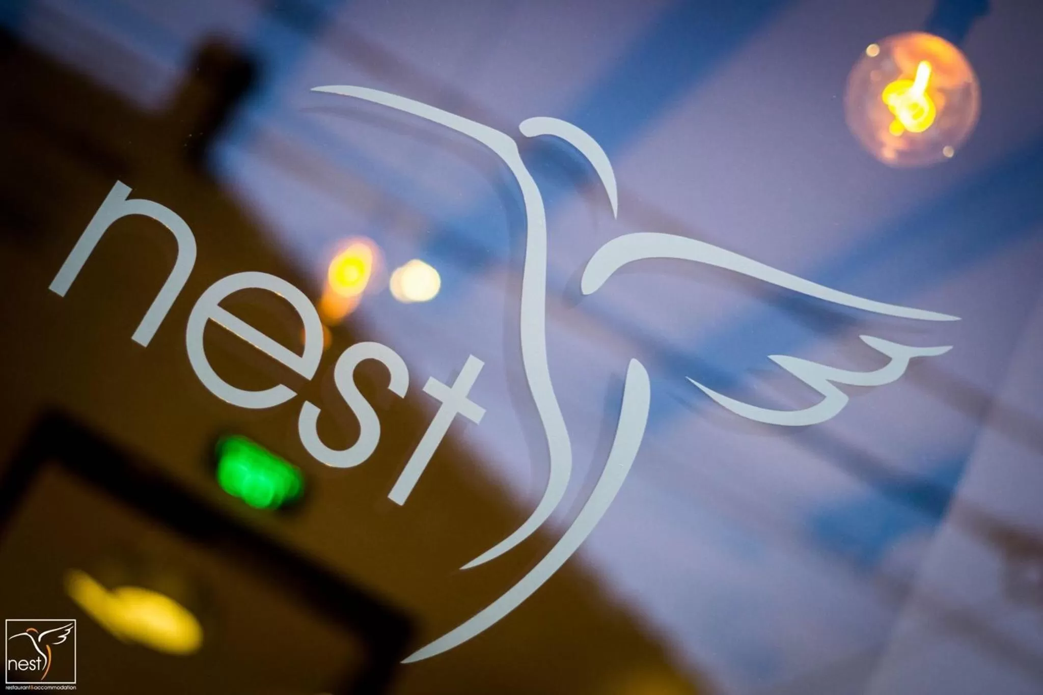 Logo/Certificate/Sign in Nest