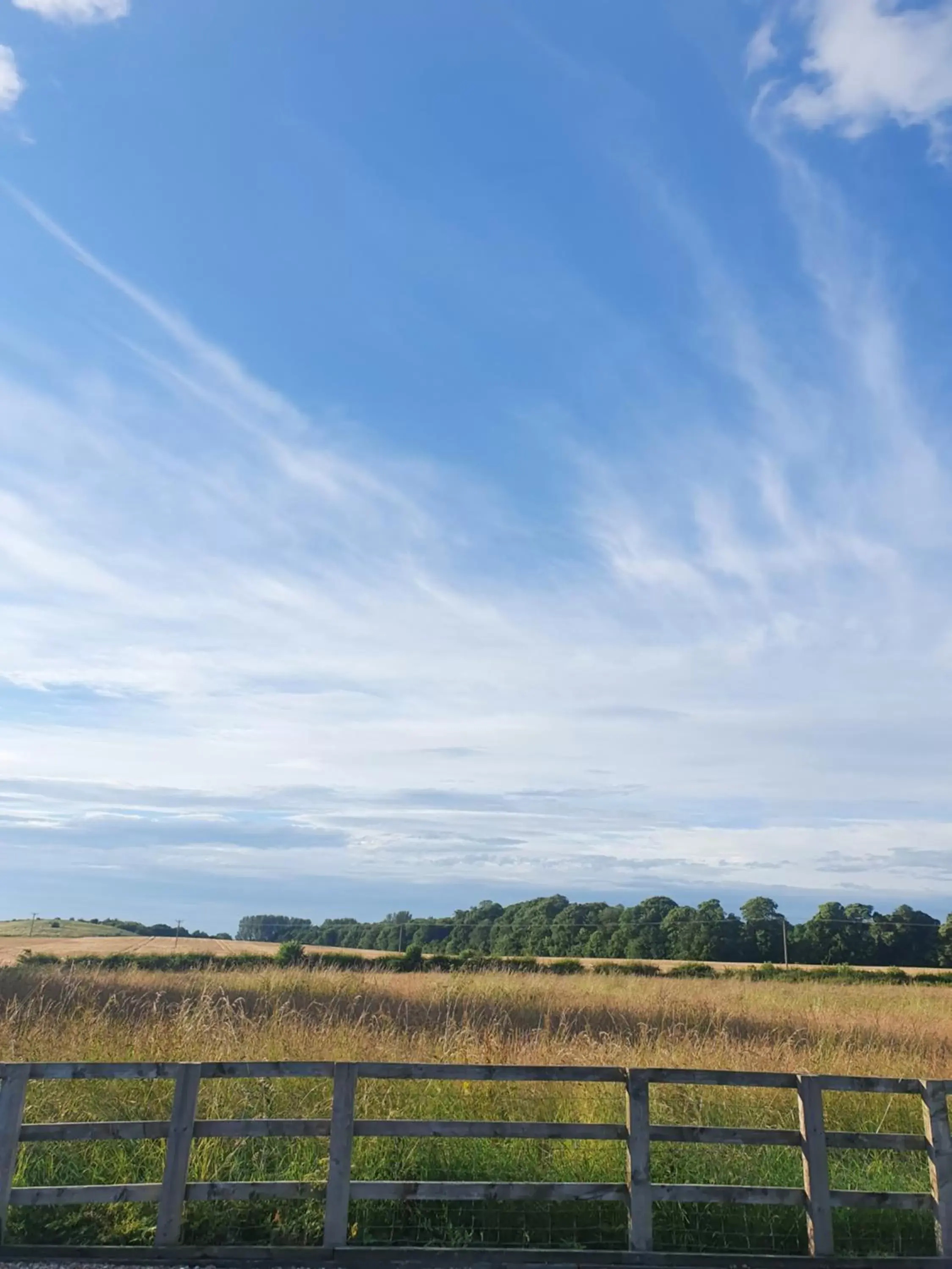 Natural landscape in The General Tarleton