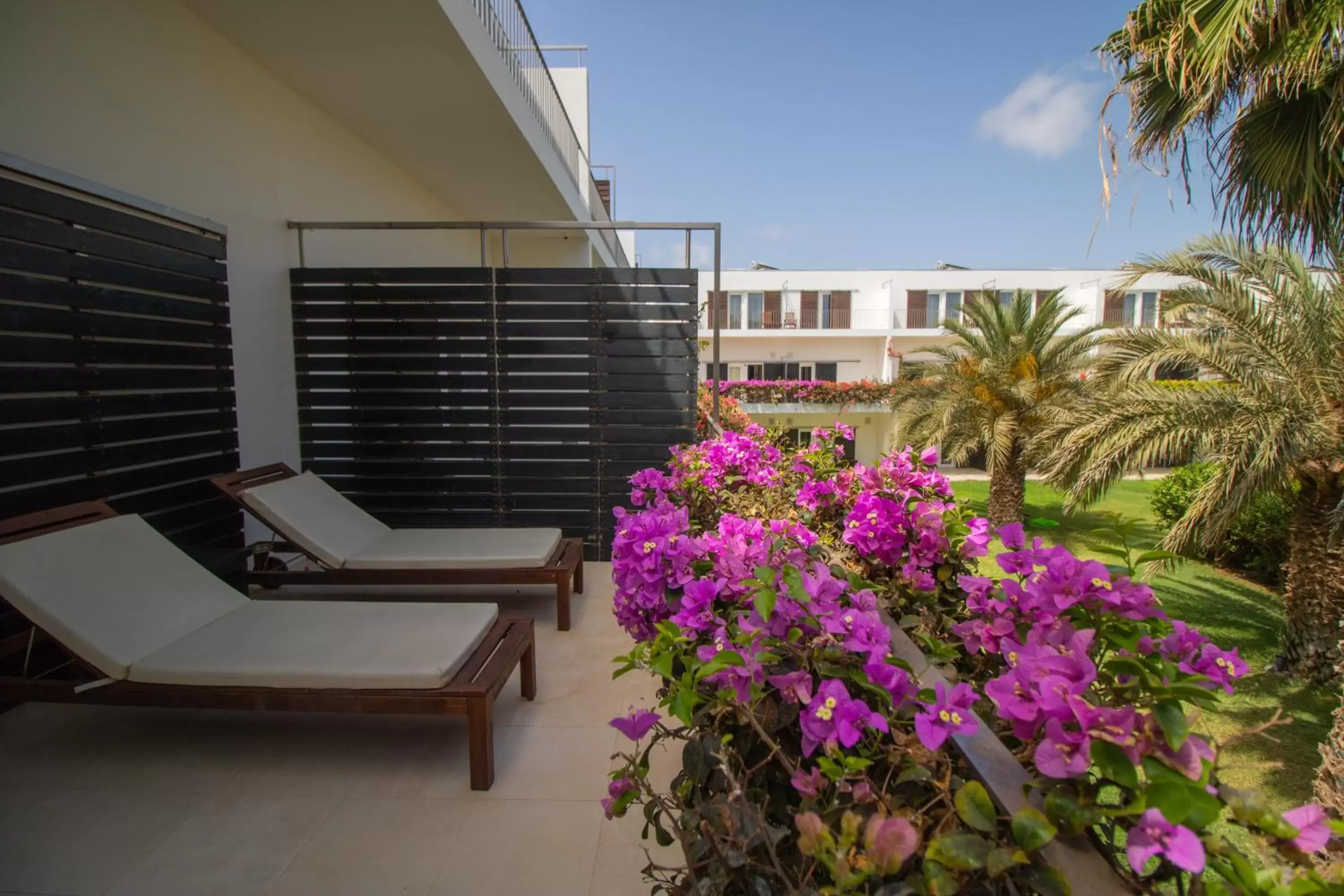 Balcony/Terrace in Hotel Dunas de Sal