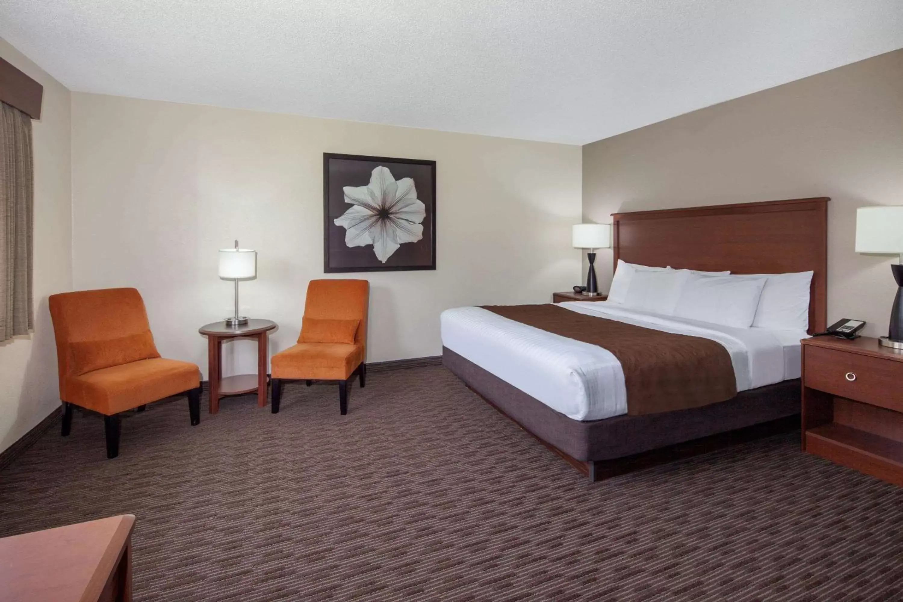 Photo of the whole room, Bed in AmericInn by Wyndham Ironwood