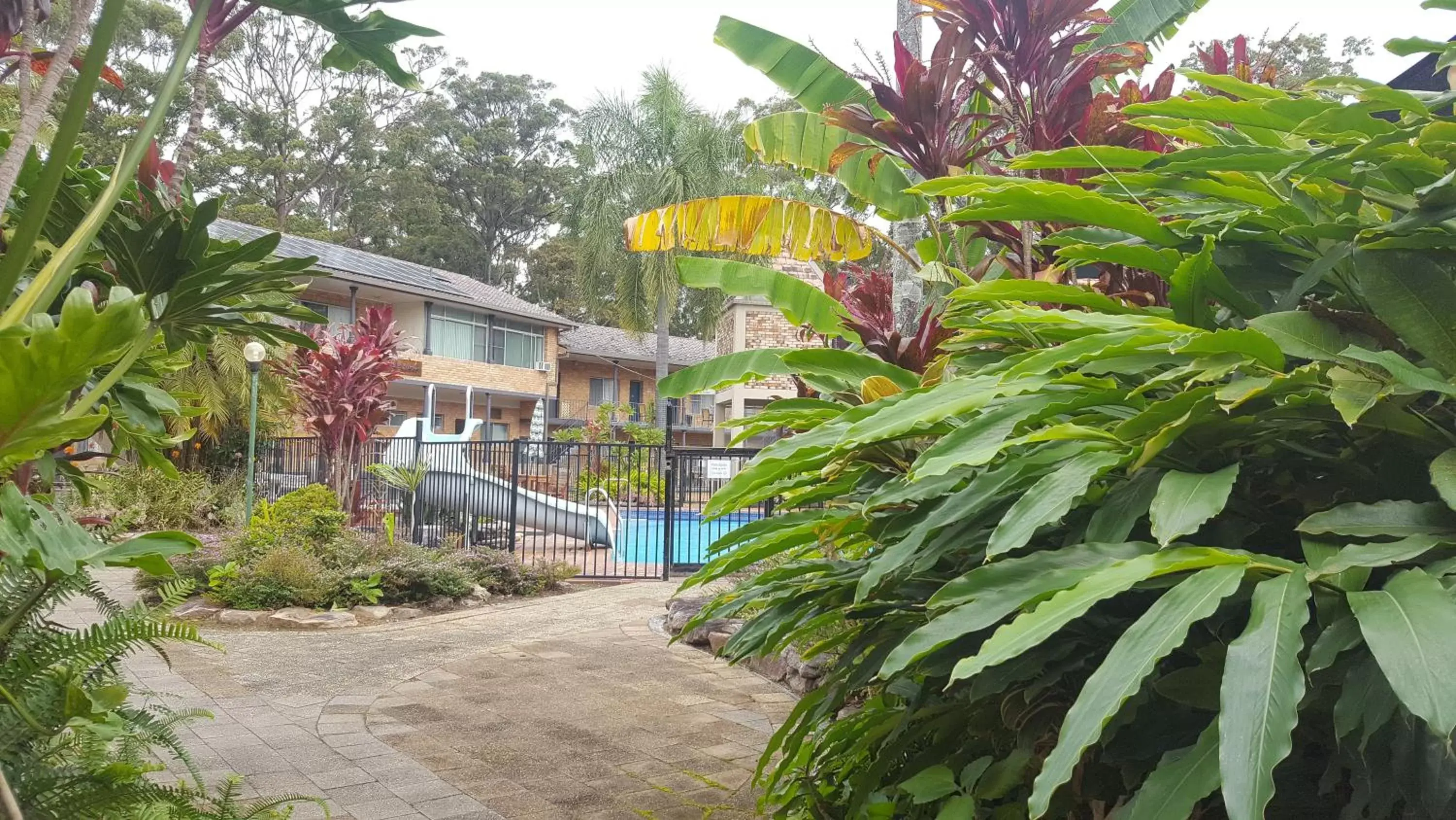 Swimming Pool in Sanctuary Resort Motor Inn