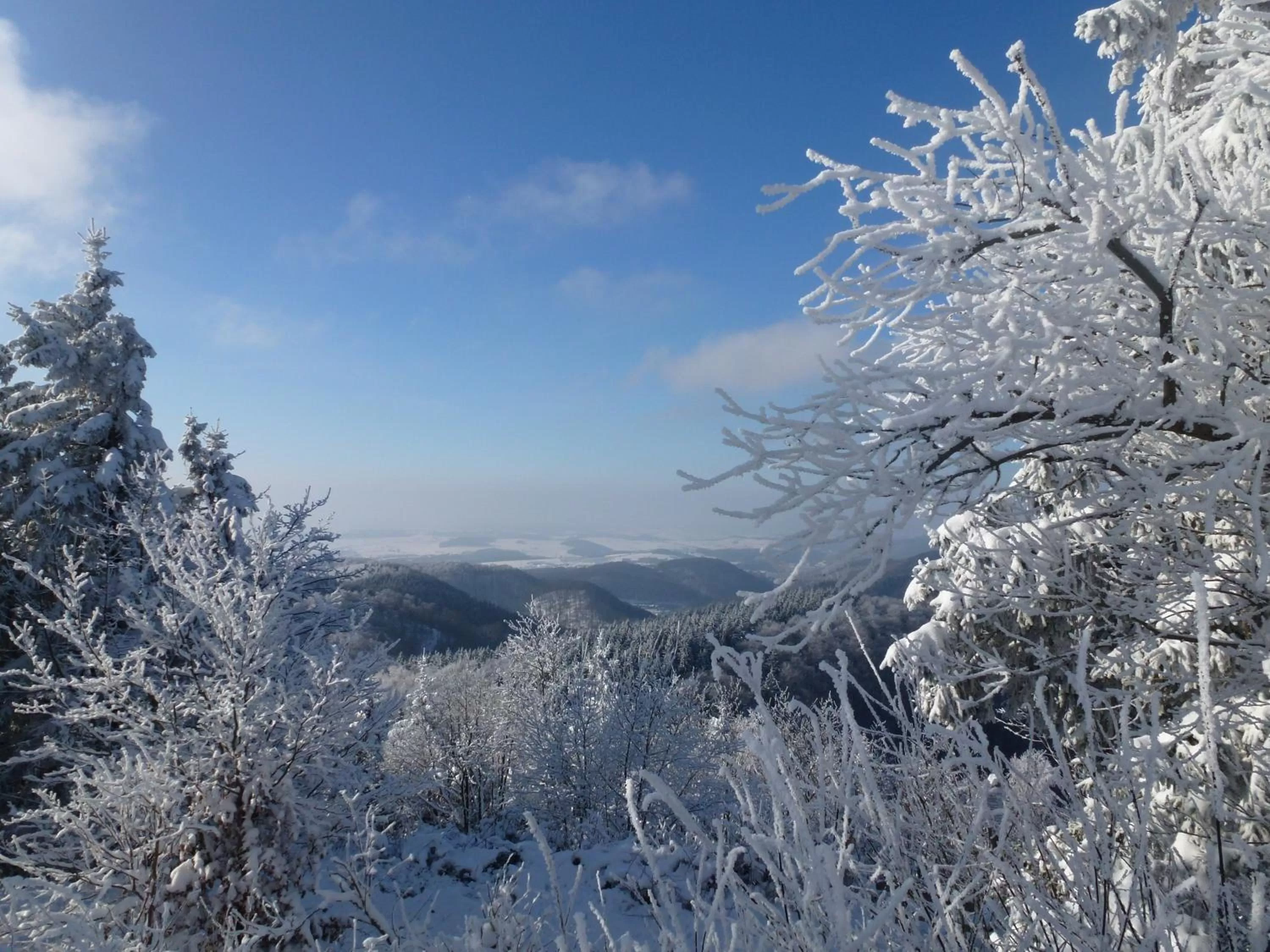 Off site in Hotel Pension Gelpkes Mühle