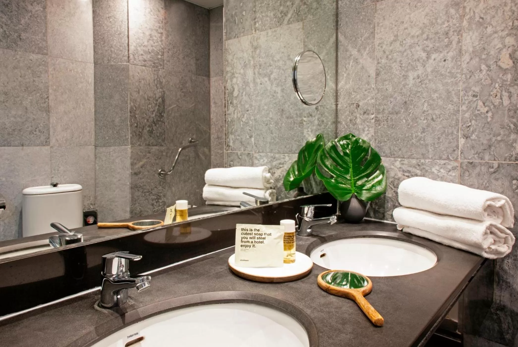 Bathroom in Chic & Basic Velvet