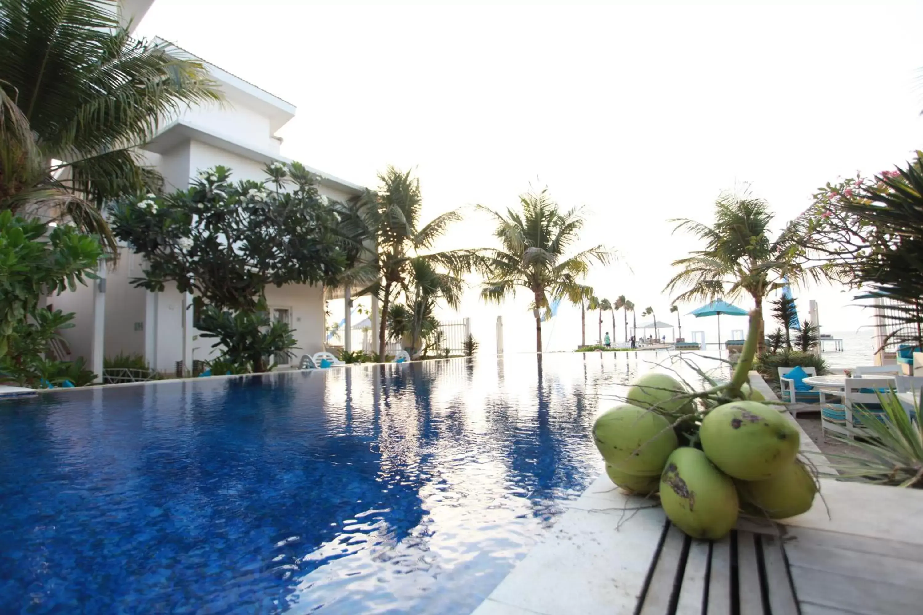 Swimming Pool in Ocean View Residence