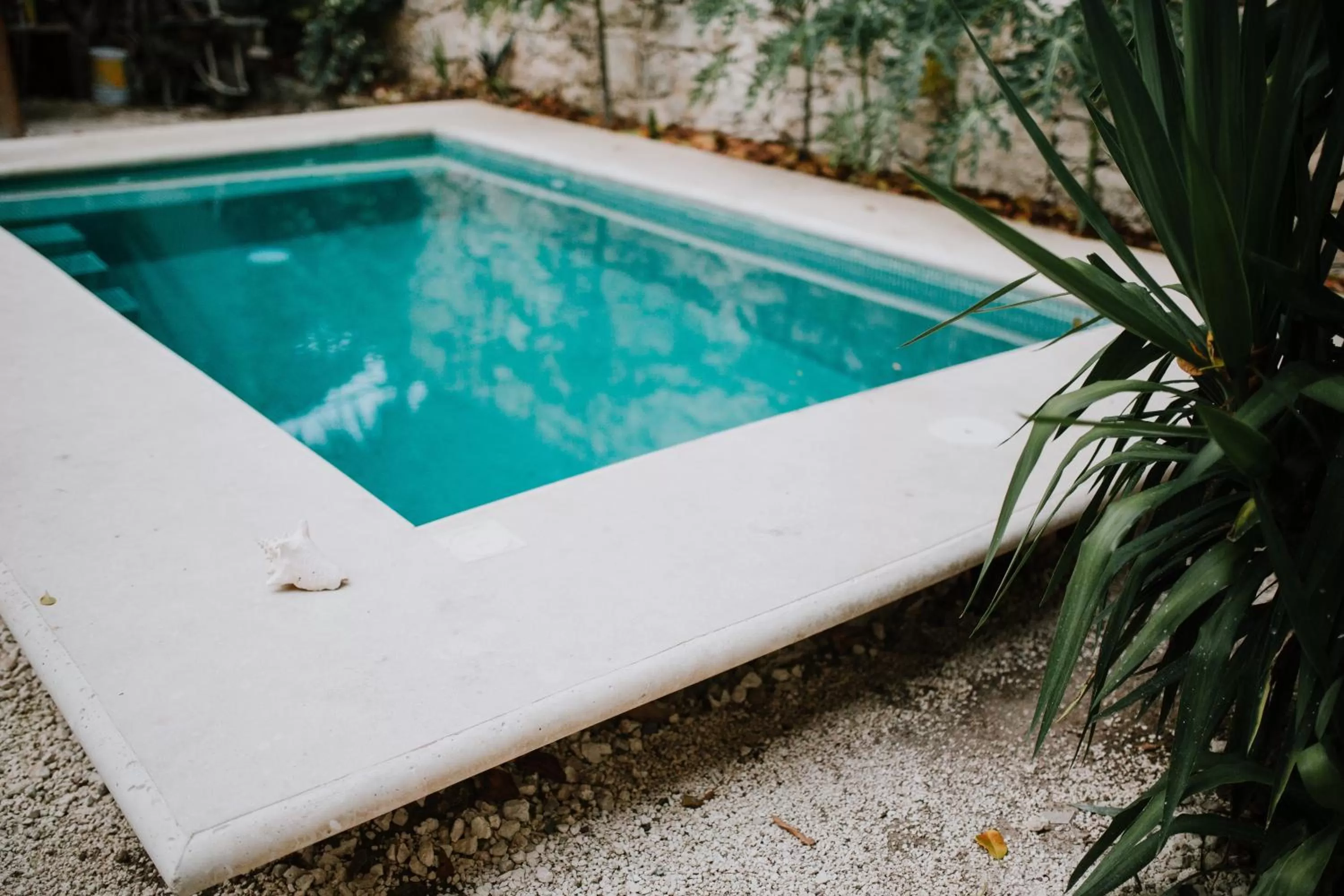 Swimming Pool in Xiknal Cozumel