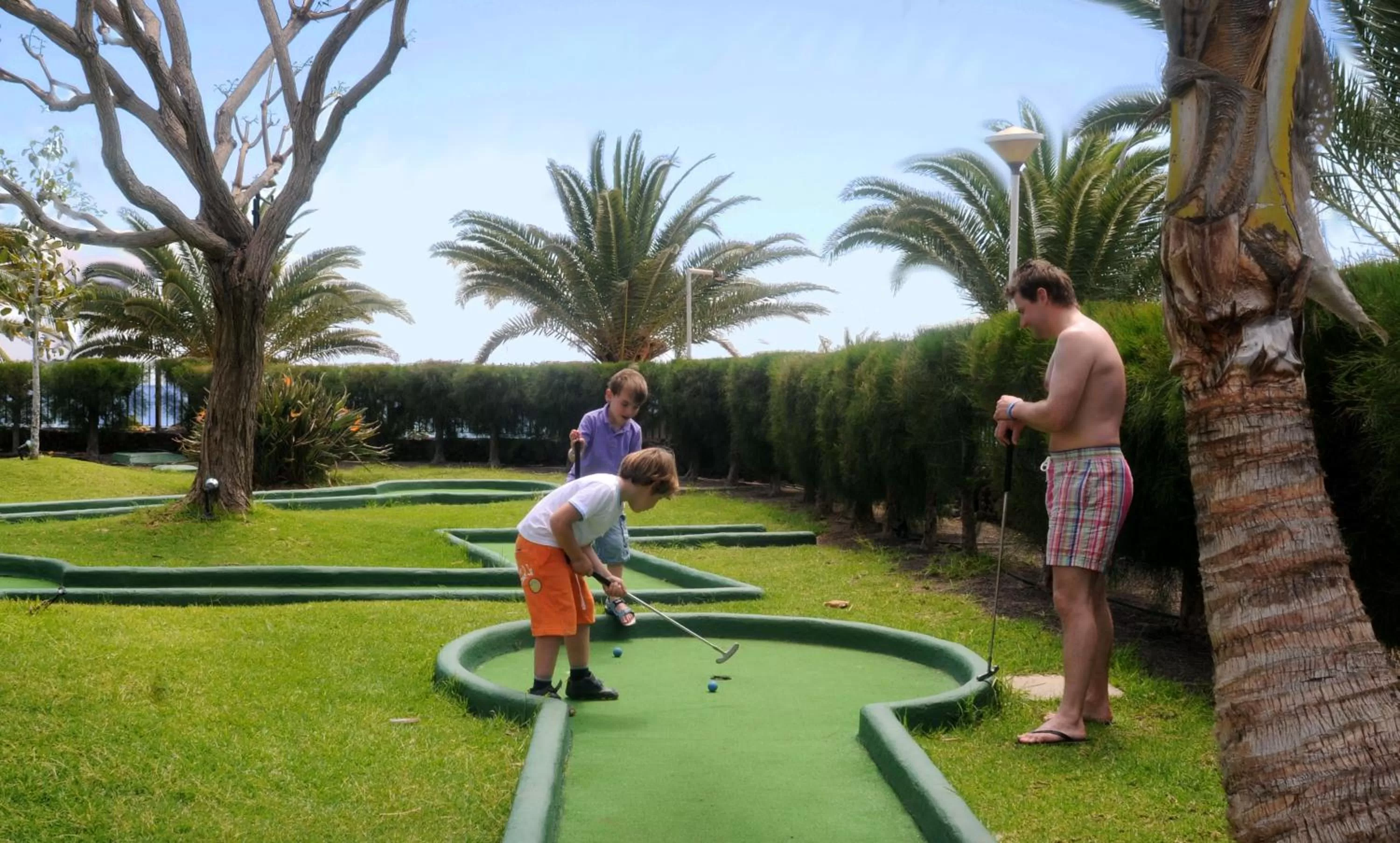Garden in Hotel Beatriz Playa & Spa
