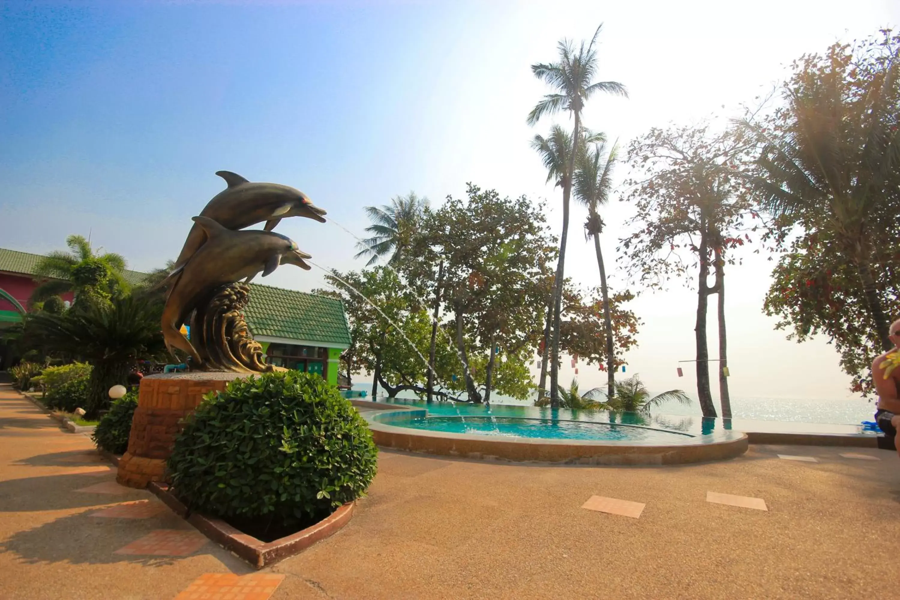 Pool view, Swimming Pool in Cookies Hotel