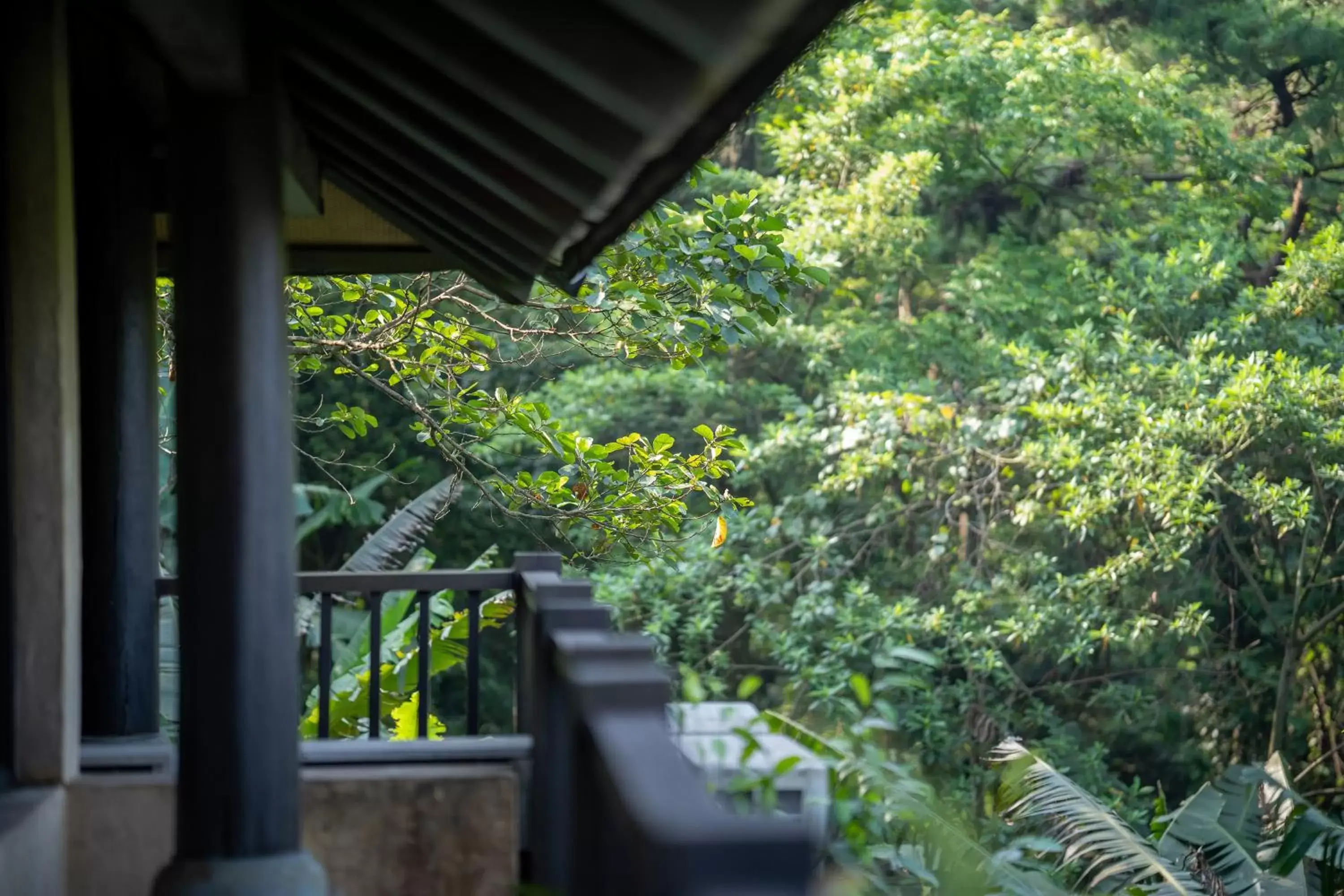 Garden, Balcony/Terrace in Melia Ba Vi Mountain Retreat