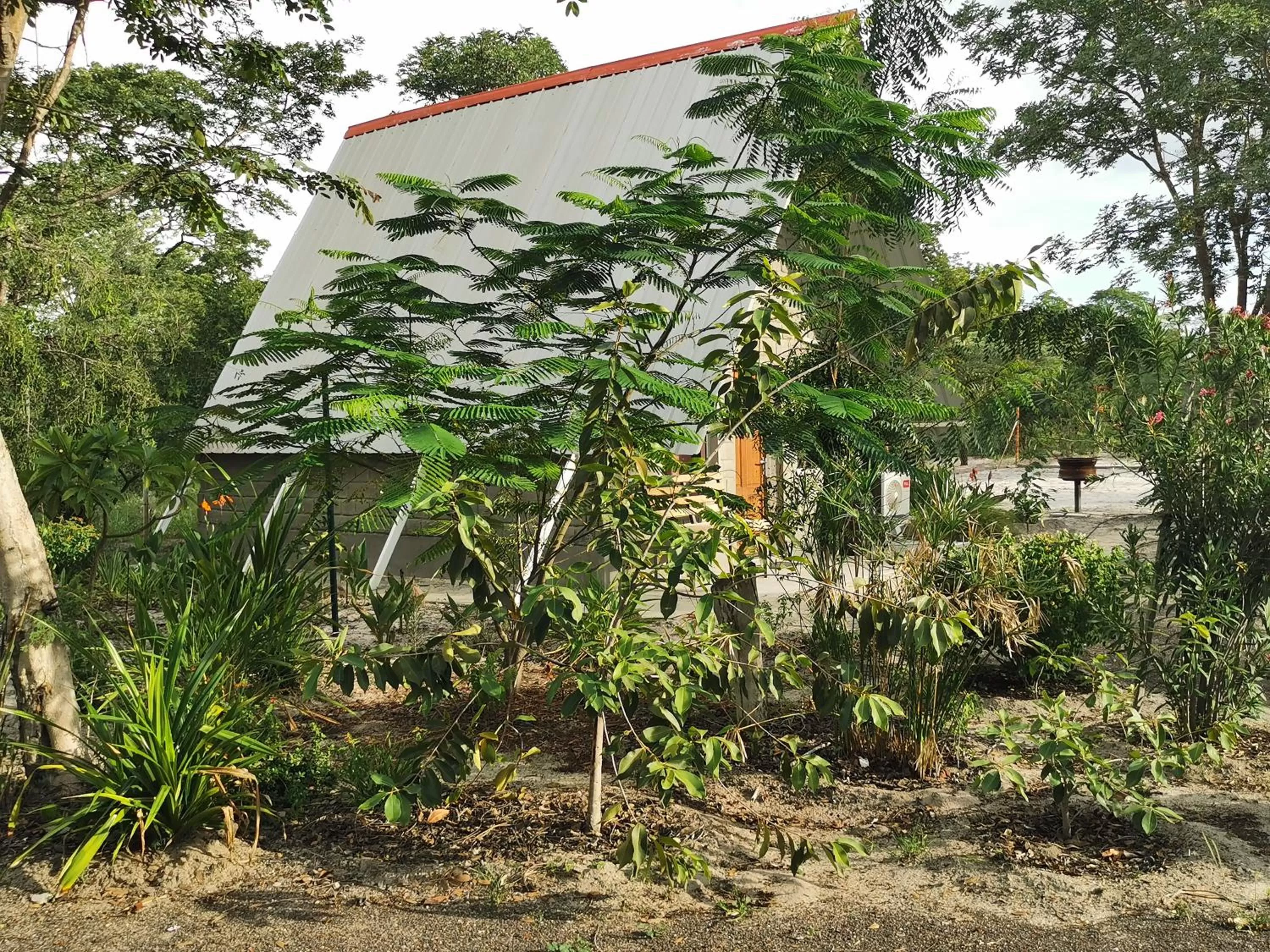 Property Building in Happy Forest B&B