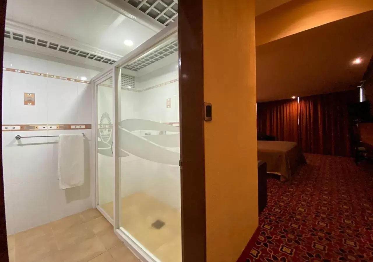 Toilet, Bathroom in Hotel Escala Central del Norte