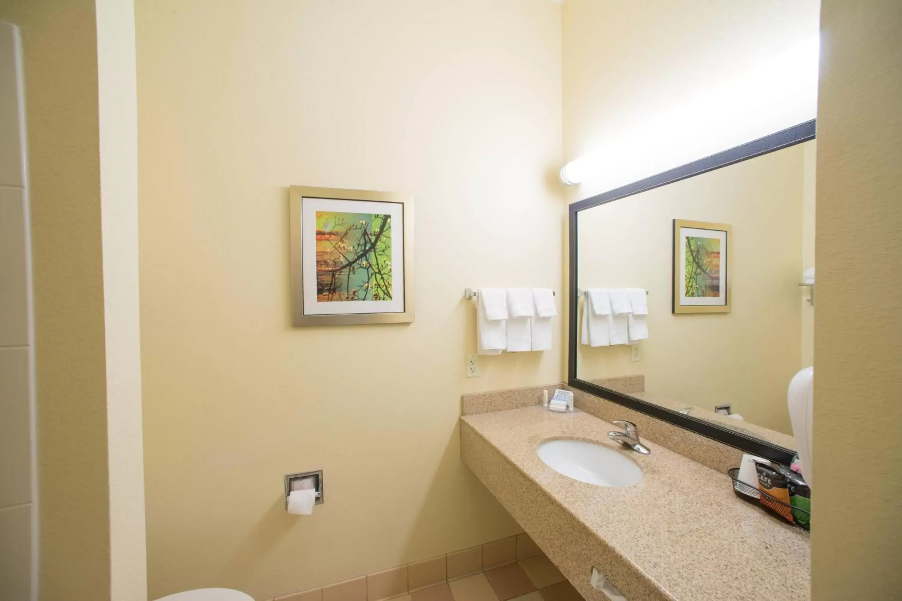 Bathroom in Fairfield Inn & Suites Rapid City