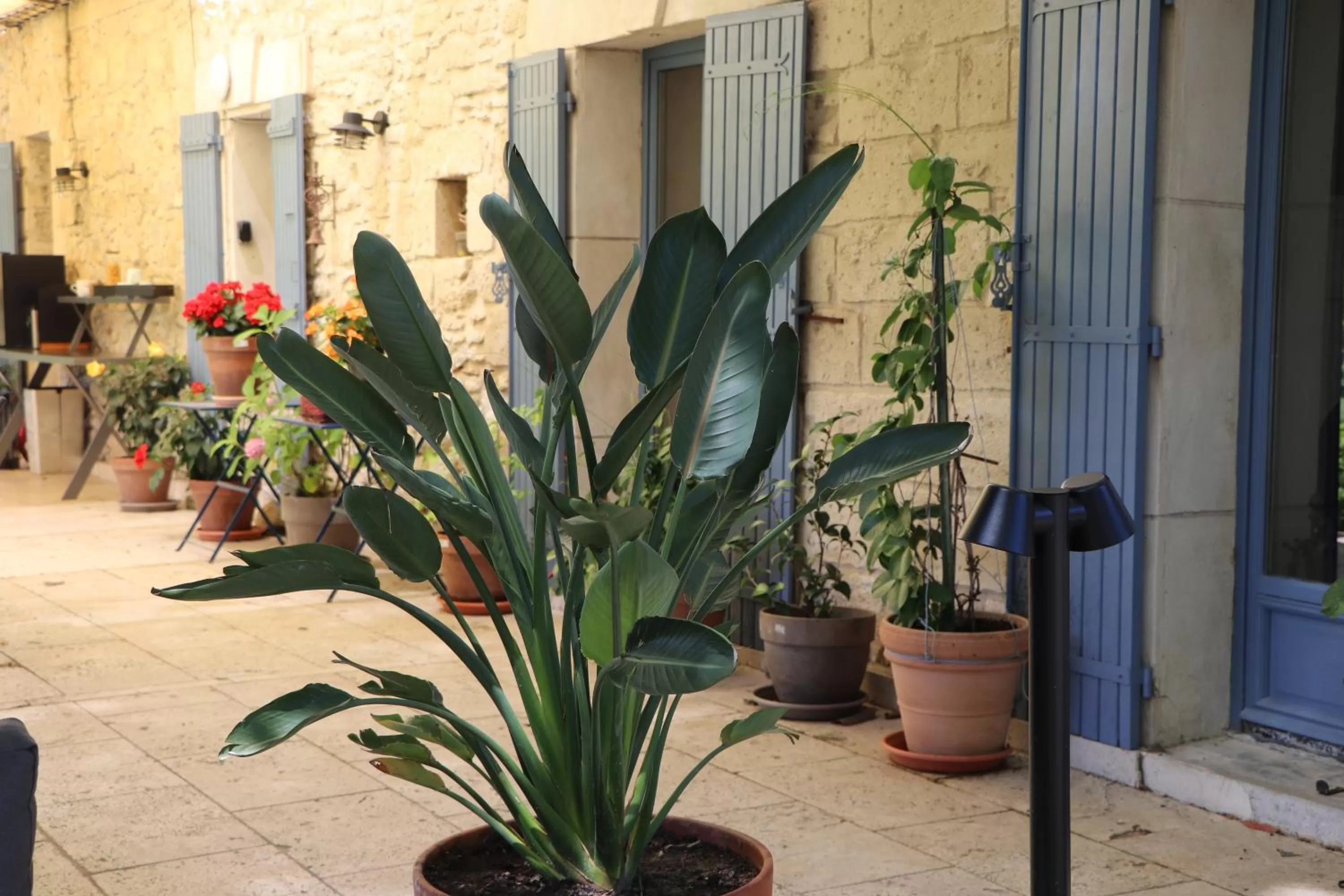 Patio in Le Mas des Cerisiers JACUZZI et SAUNA inclus pour tous les logements