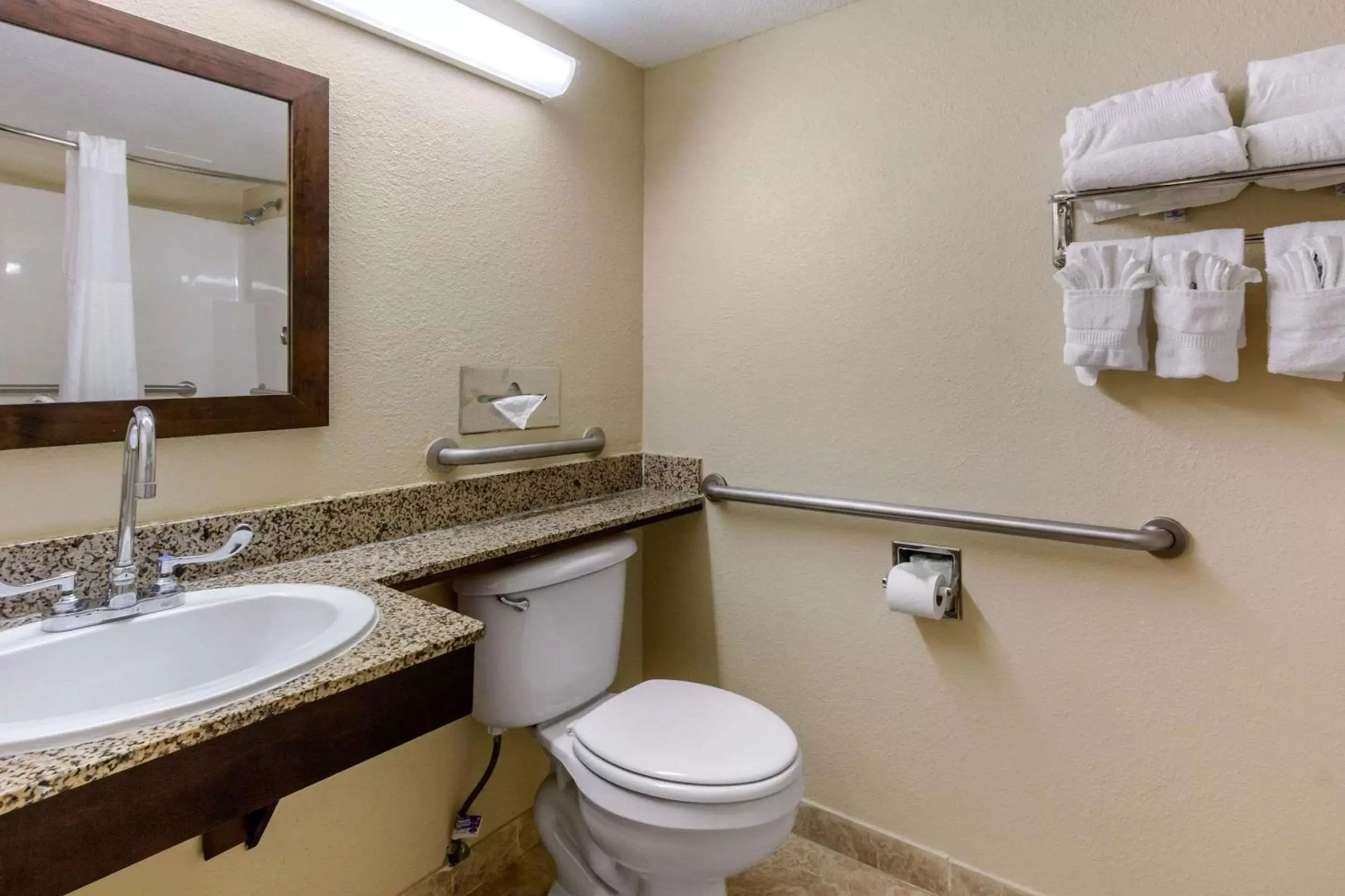 Bathroom in Comfort Inn St Petersburg North