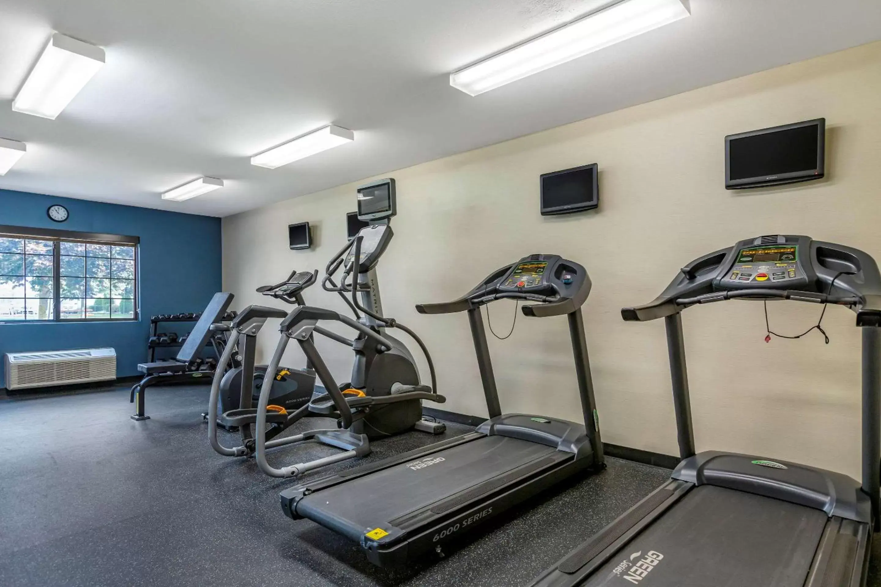 Fitness centre/facilities, Fitness Center/Facilities in Comfort Inn Ludington near US-10