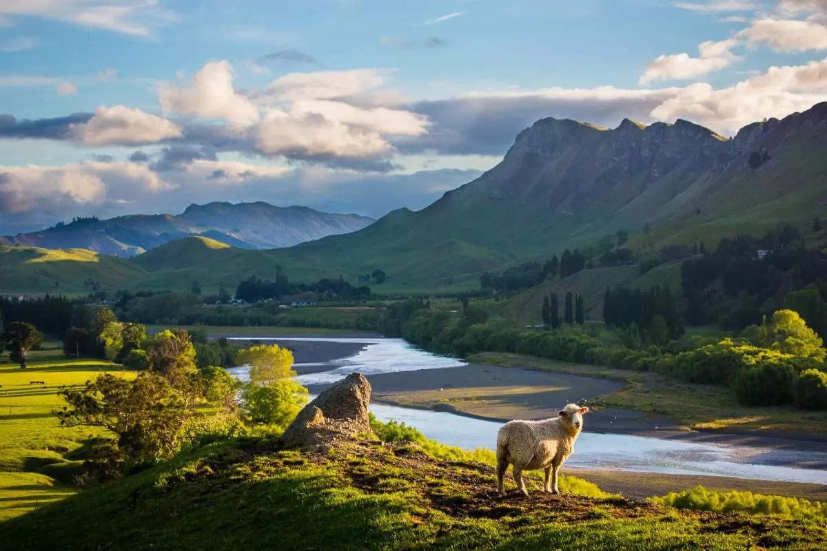 Off site in Quest Napier Serviced Apartments