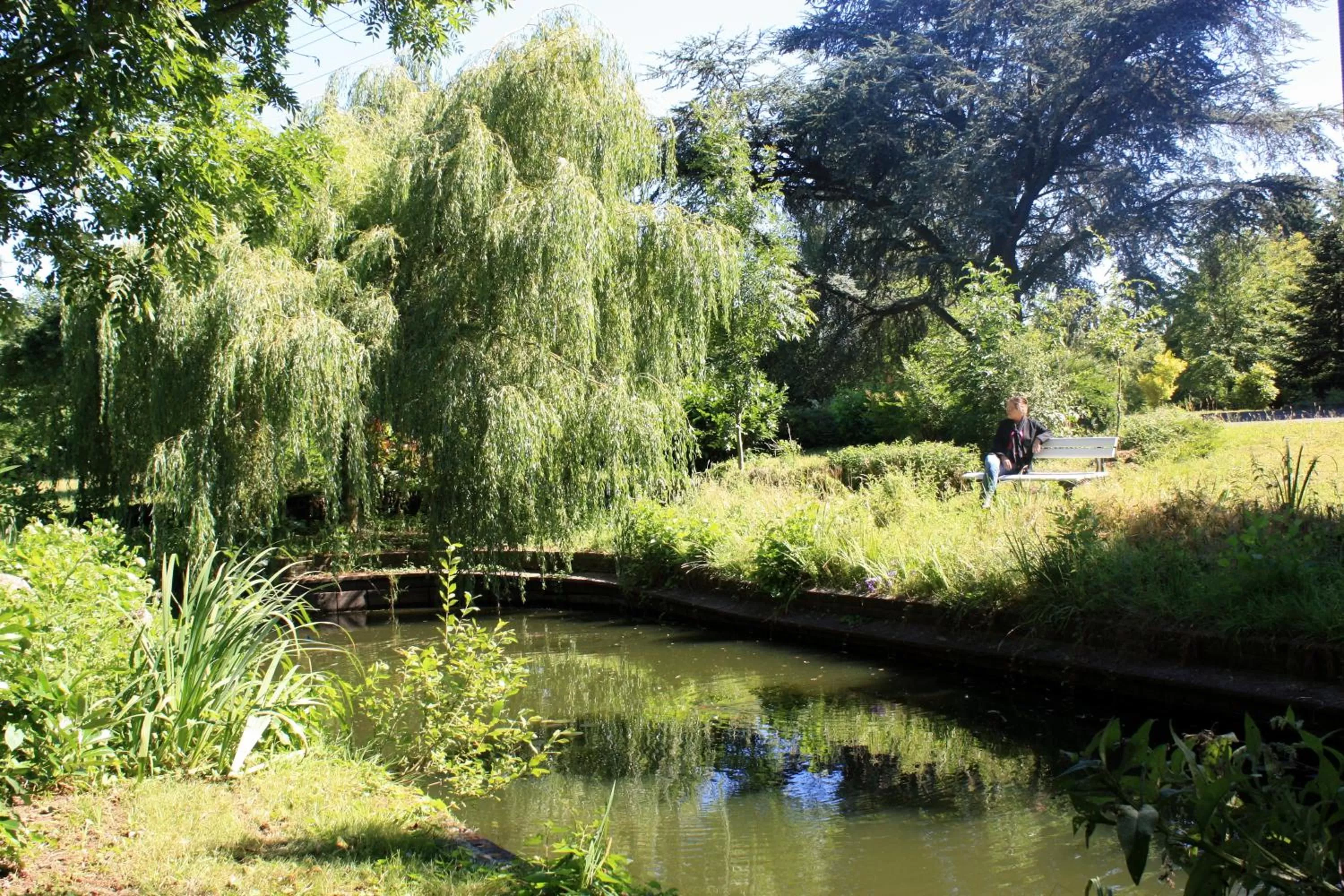 Natural landscape in World House Wetten