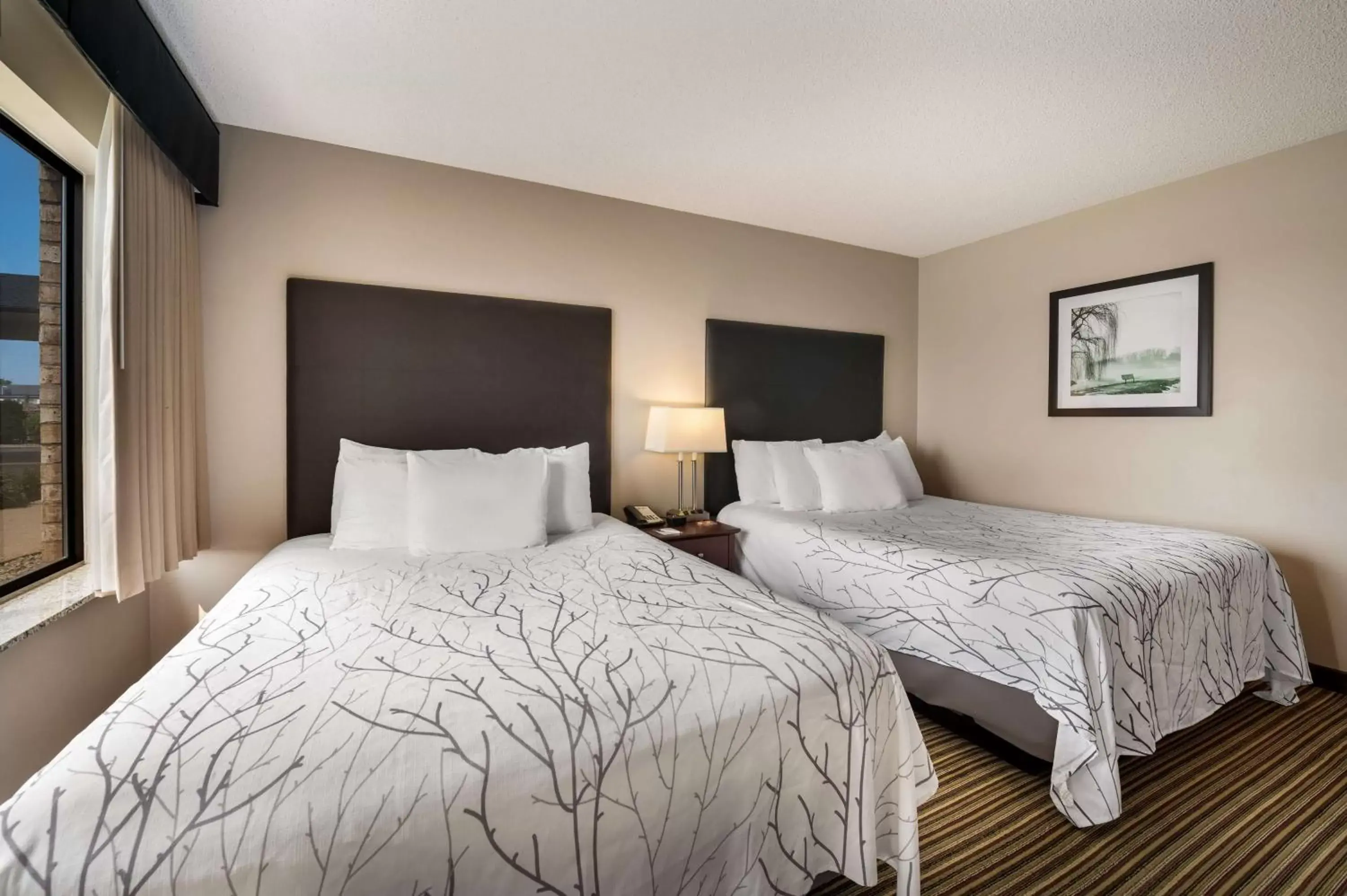 Bedroom, Bed in Best Western Park Oasis Inn Bedroom, Bed in Best Western Park Oasis Inn