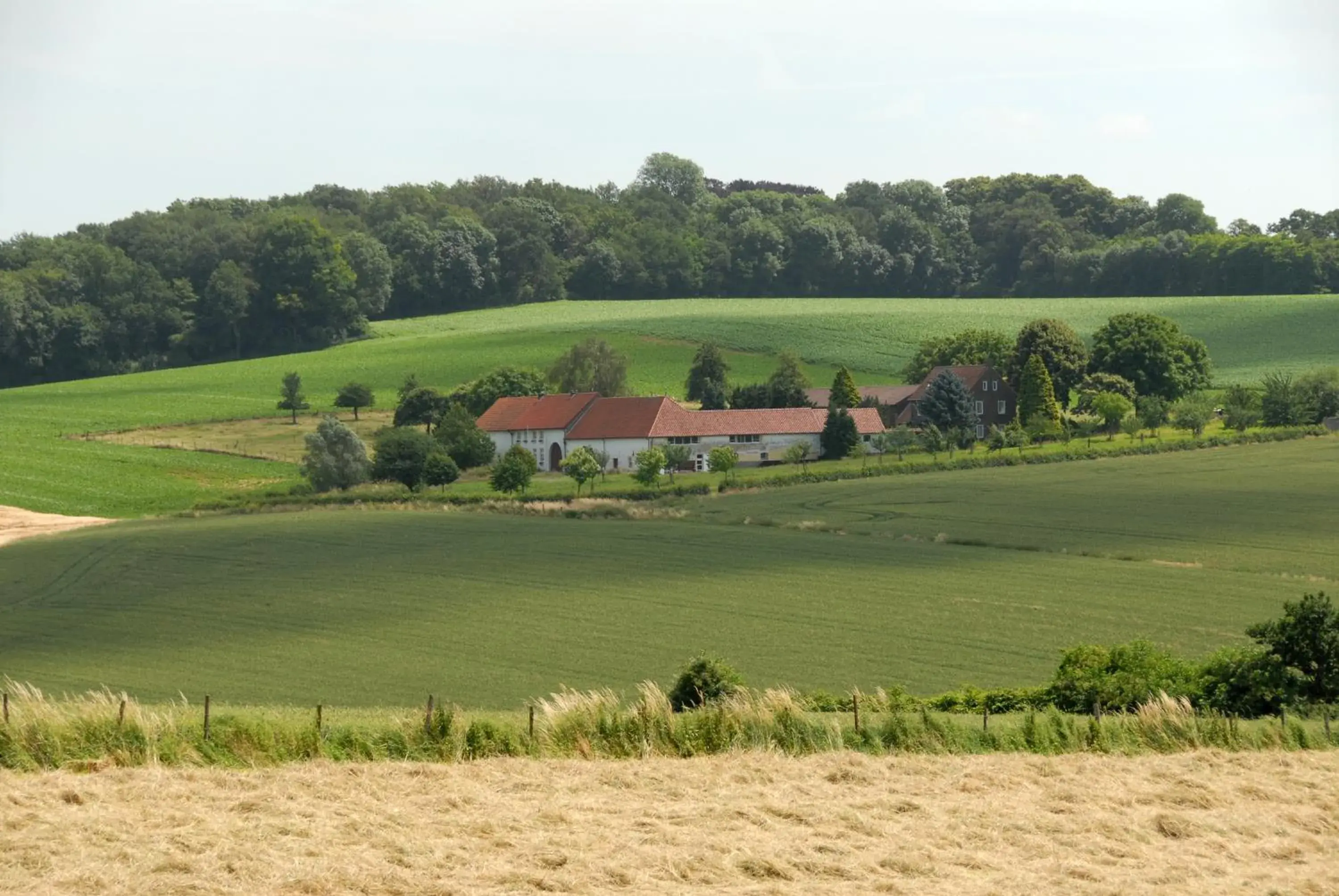 Natural landscape in Huis Ter Geul