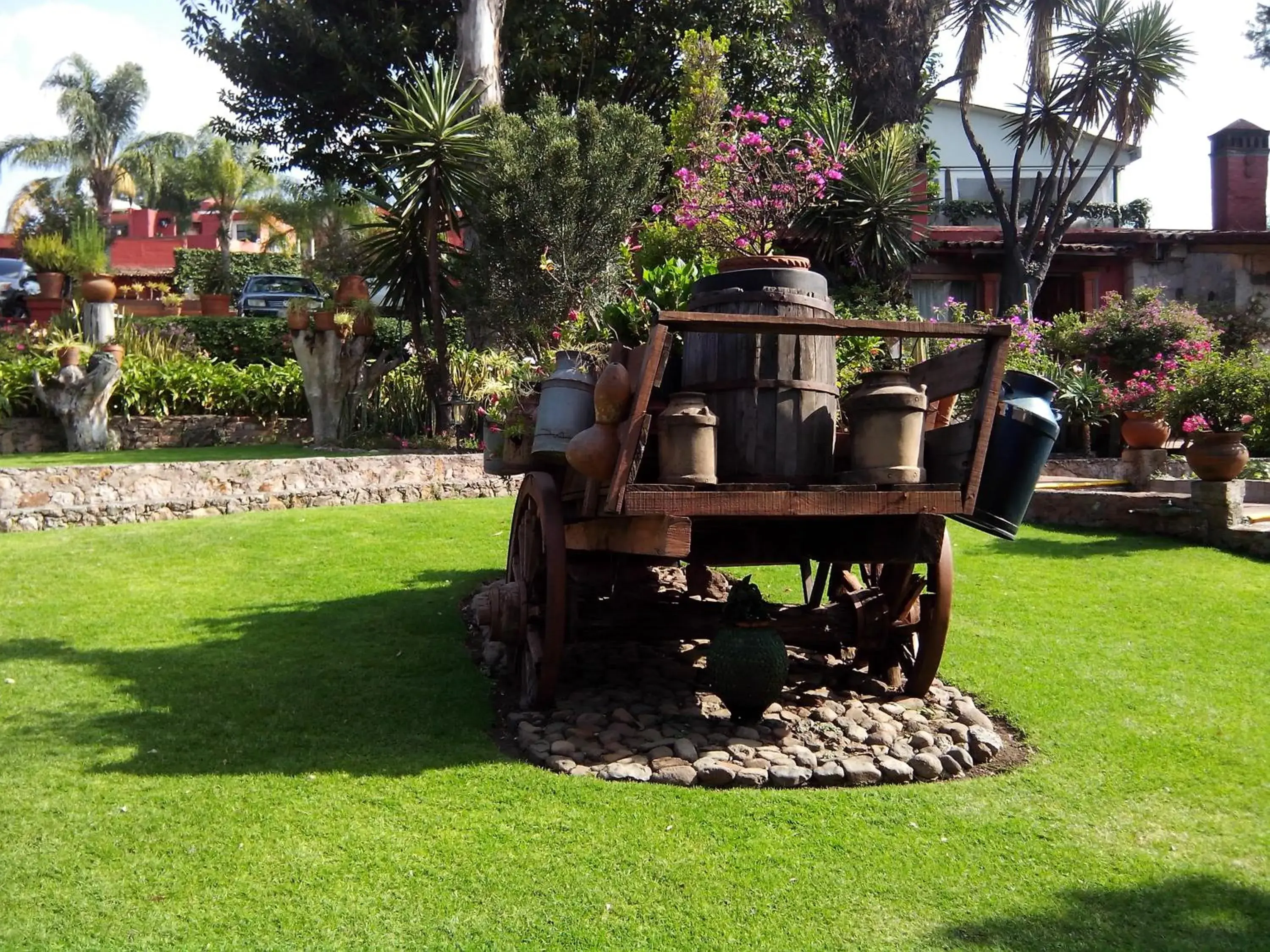 Garden in Villa San Jose Hotel & Suites