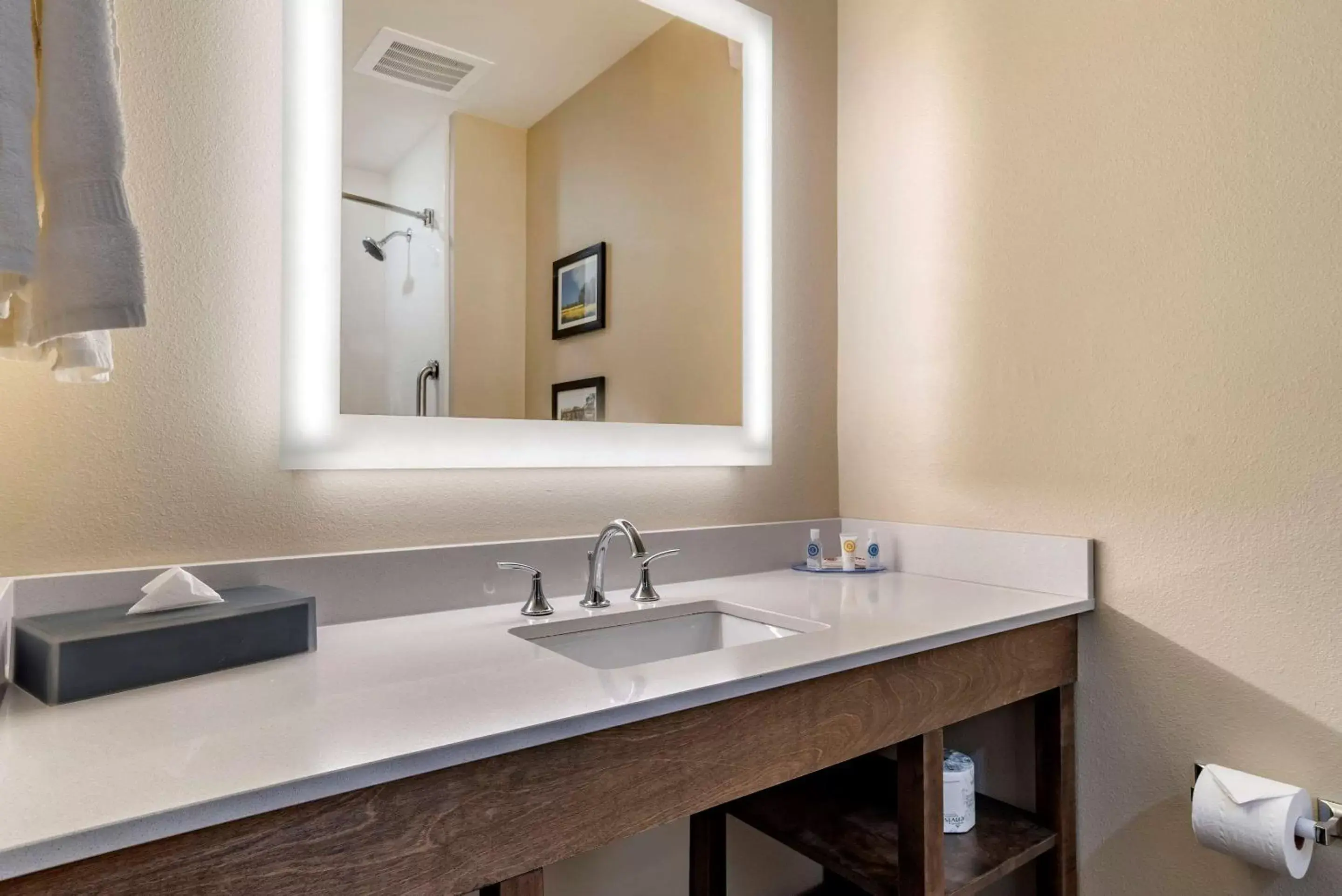 Bathroom in Comfort Inn & Suites Downtown near University