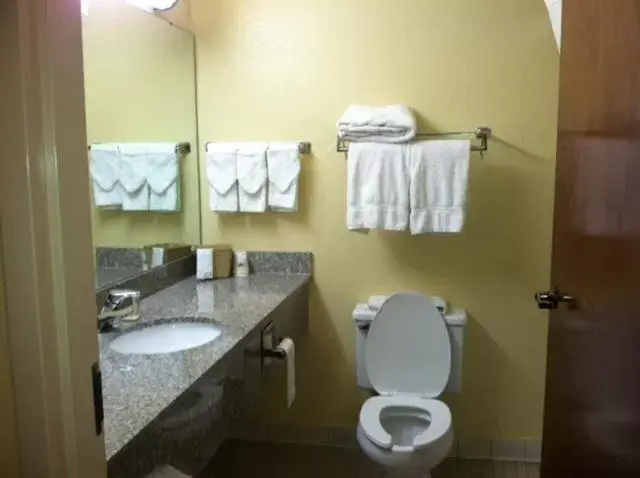 Toilet, Bathroom in Super 8 by Wyndham Piedmont Greenville Area