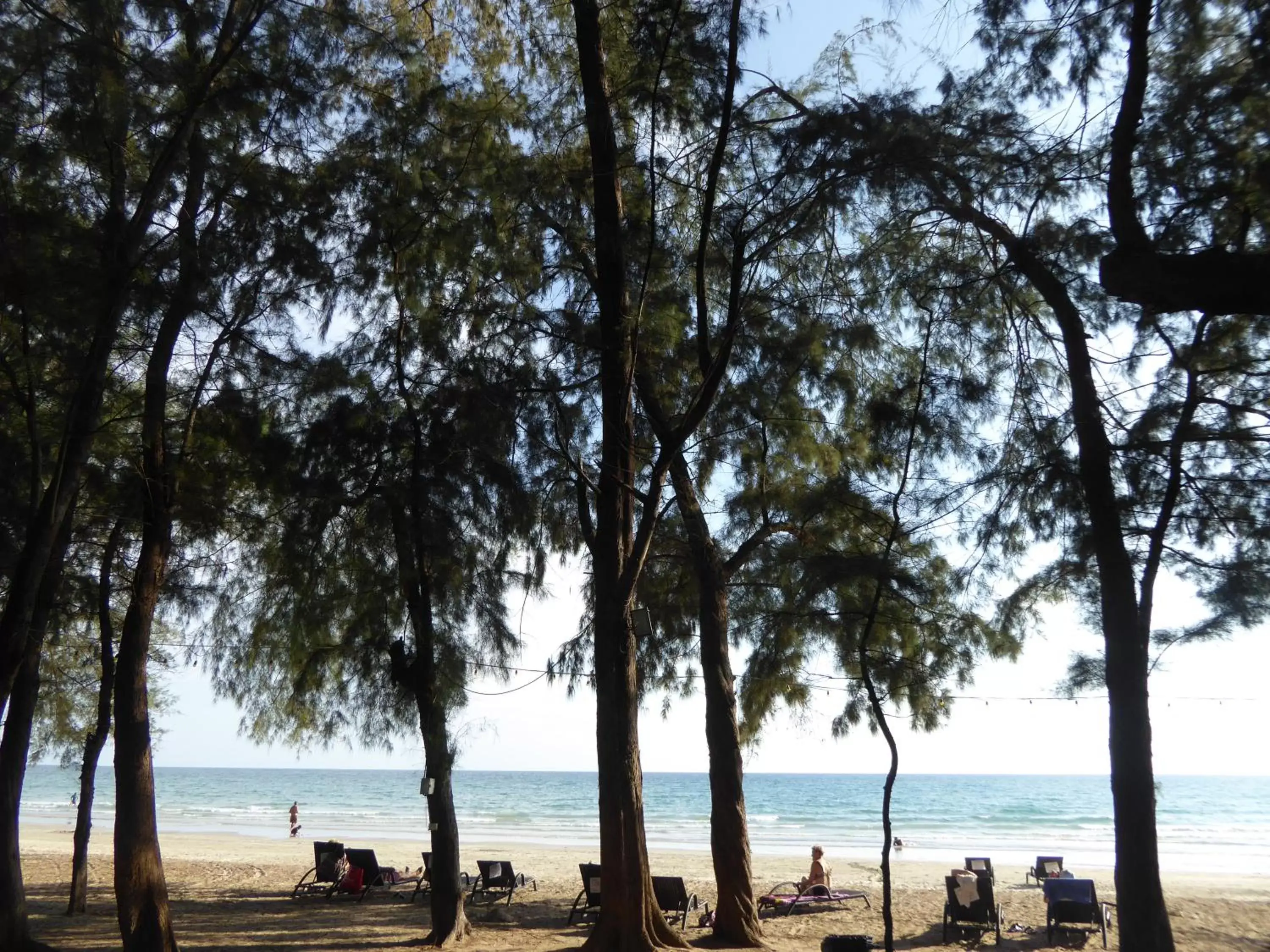 Beach in The Oriental Tropical Beach at VIP Resort