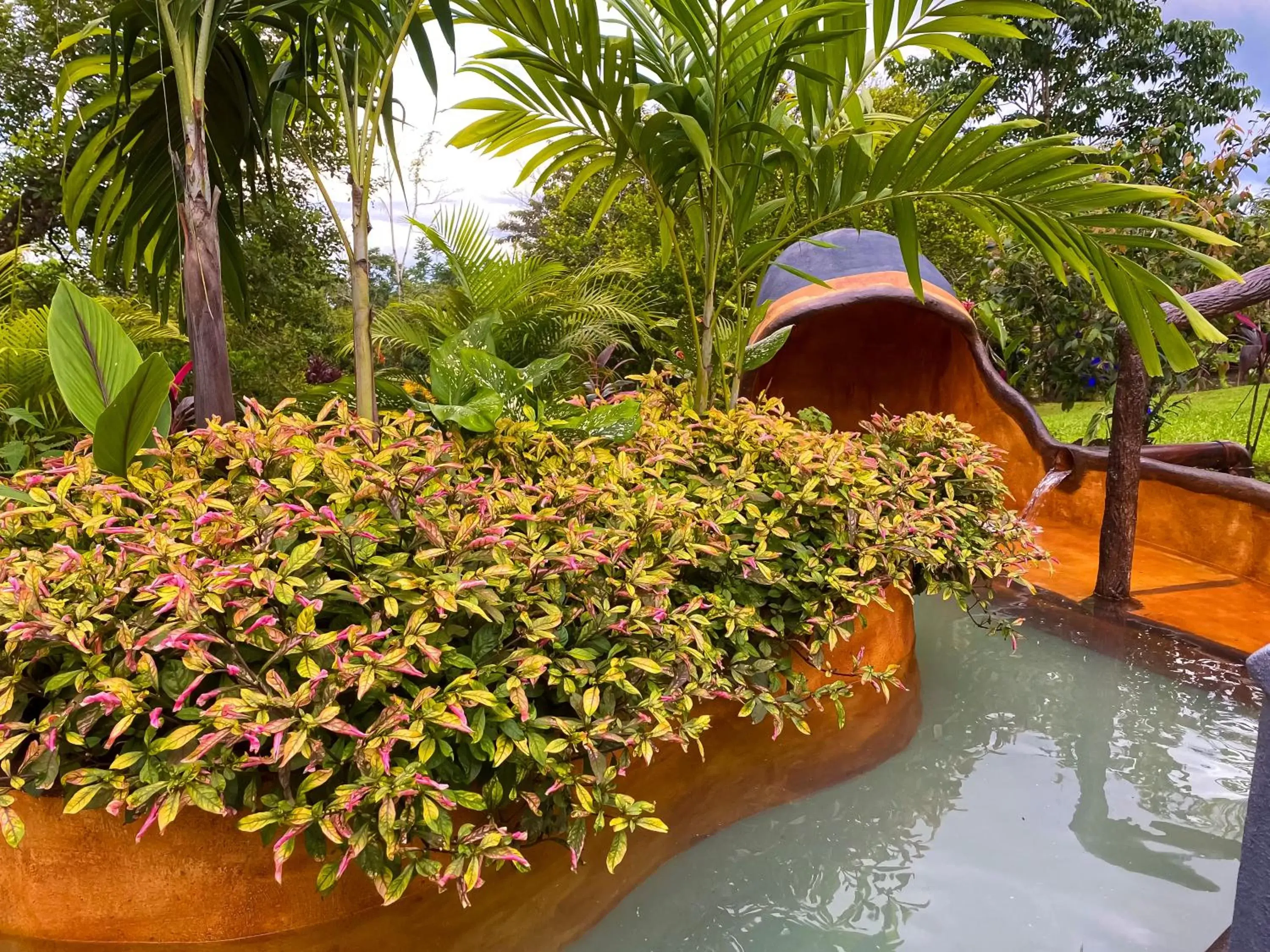 Garden in Hotel Heliconias Nature Inn & Hot Springs