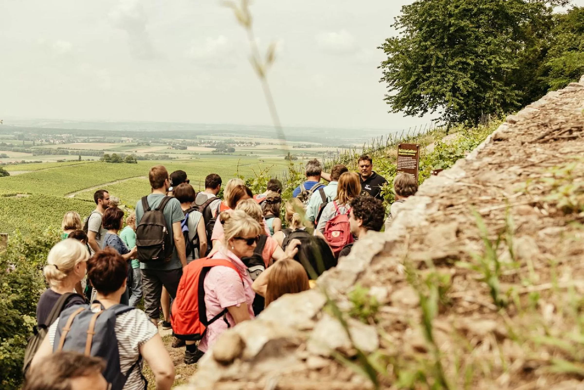 Other in Biobausewein WEIN HOTEL LEBEN