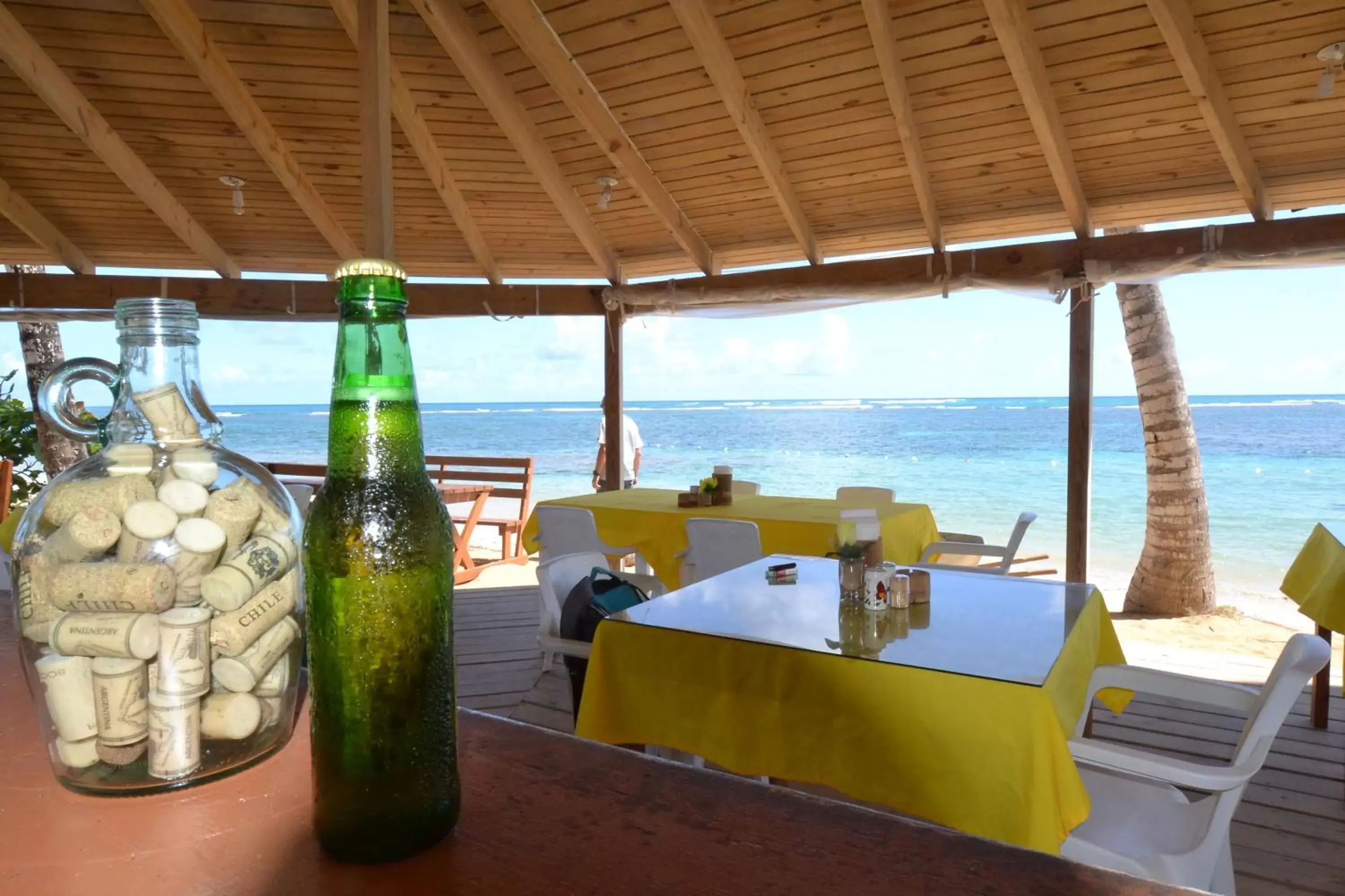 Lounge or bar, Restaurant/Places to Eat in Costarena Beach Hotel