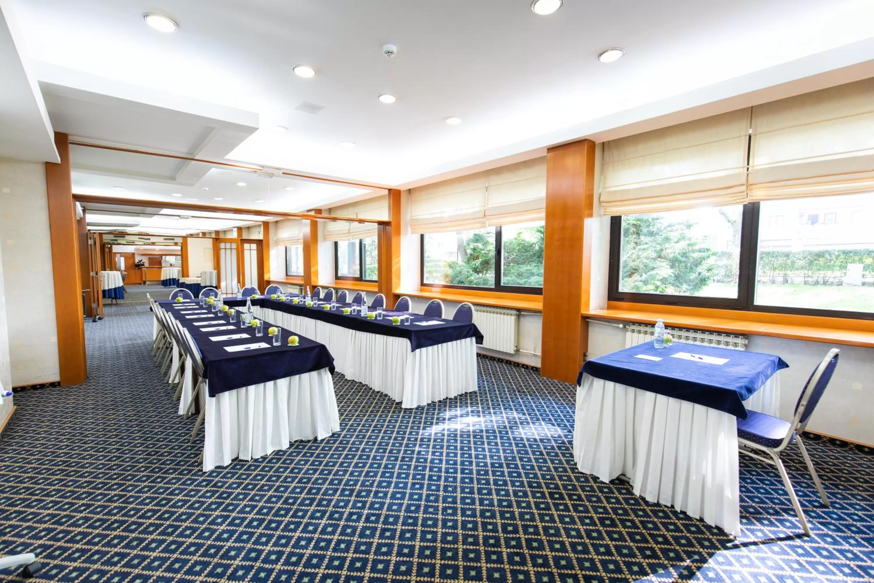 Meeting/conference room in Hotel M