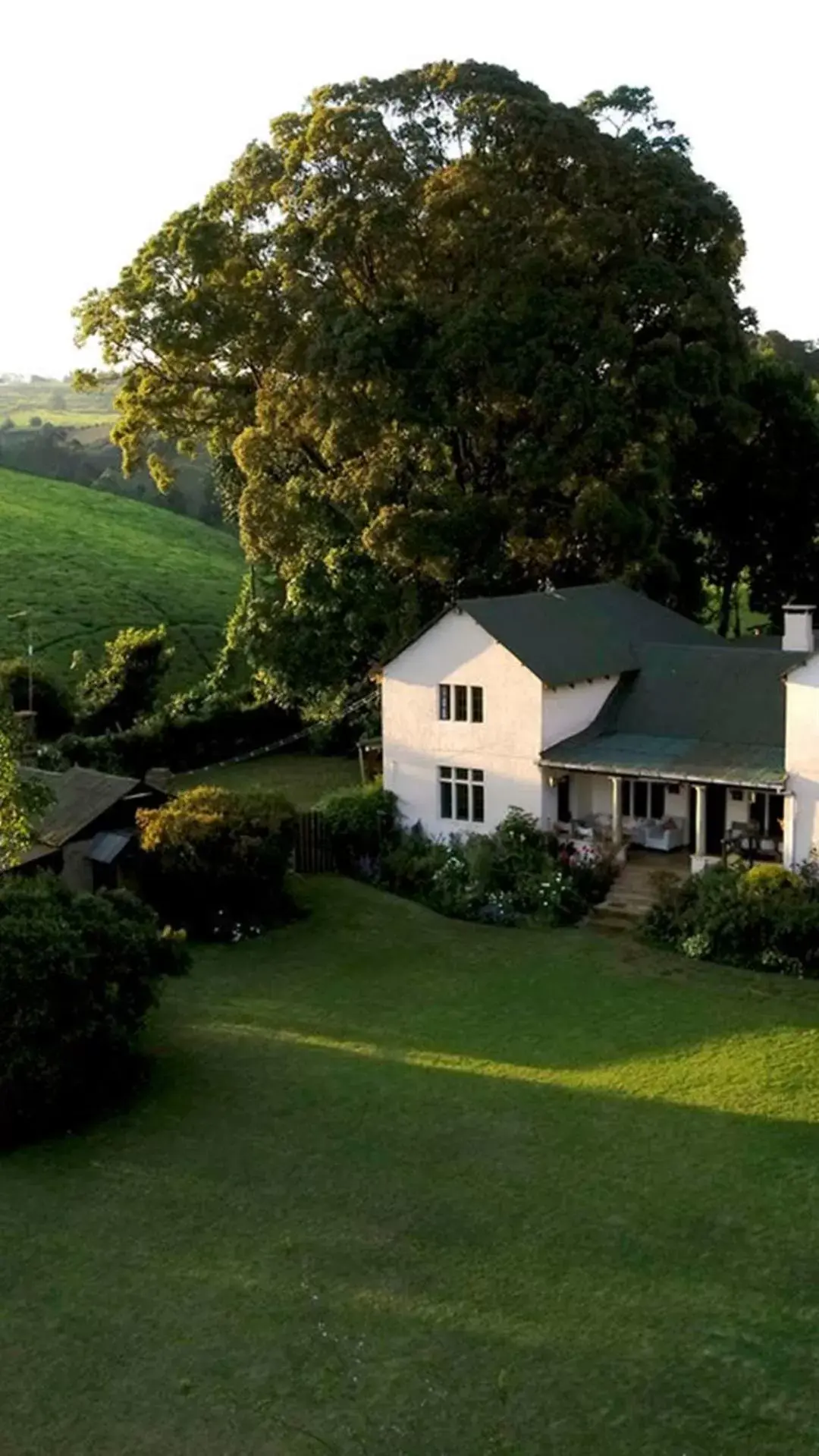 Natural landscape, Property Building in Villa Rosa Kempinski