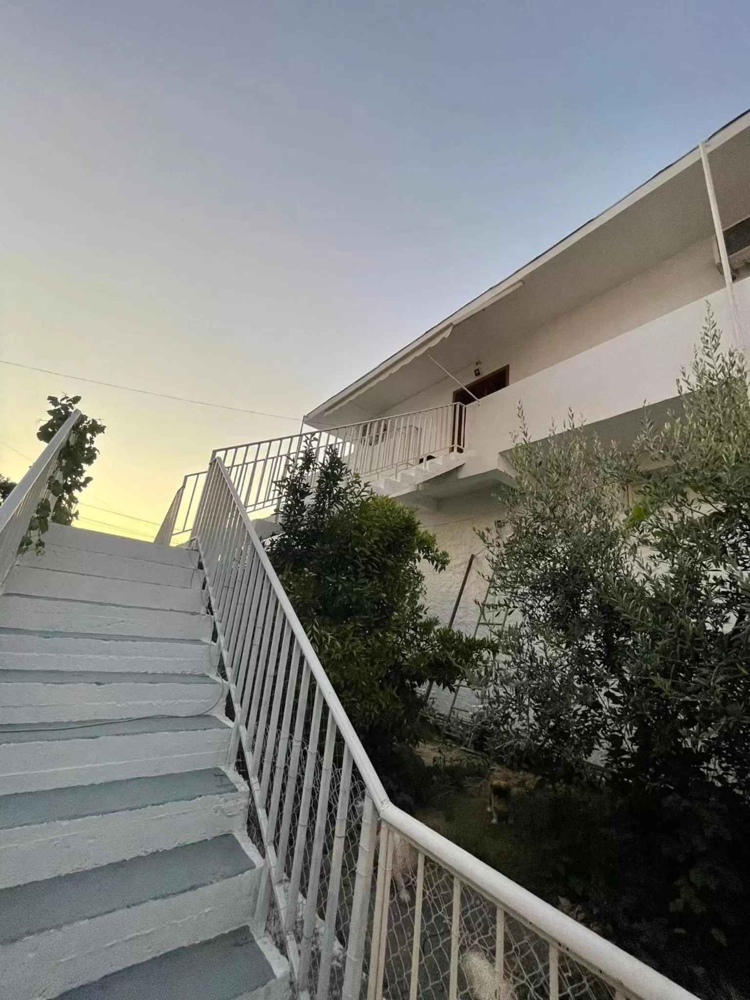 Garden, Balcony/Terrace in Villa Oasis